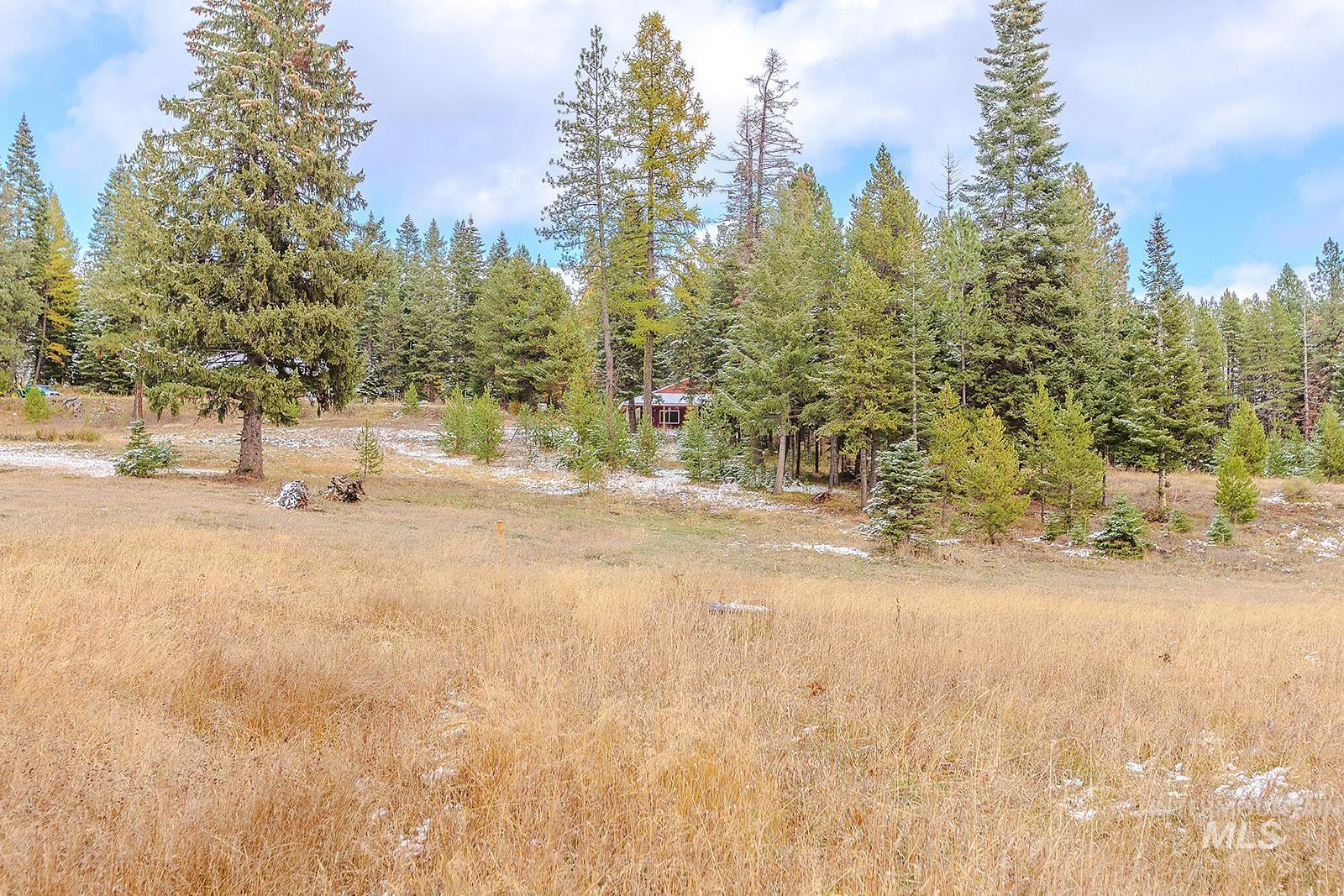 43406 Black Pine Drive, Winchester, Idaho 83555, 3 Bedrooms, 1 Bathroom, Residential For Sale, Price $559,000, 98965995