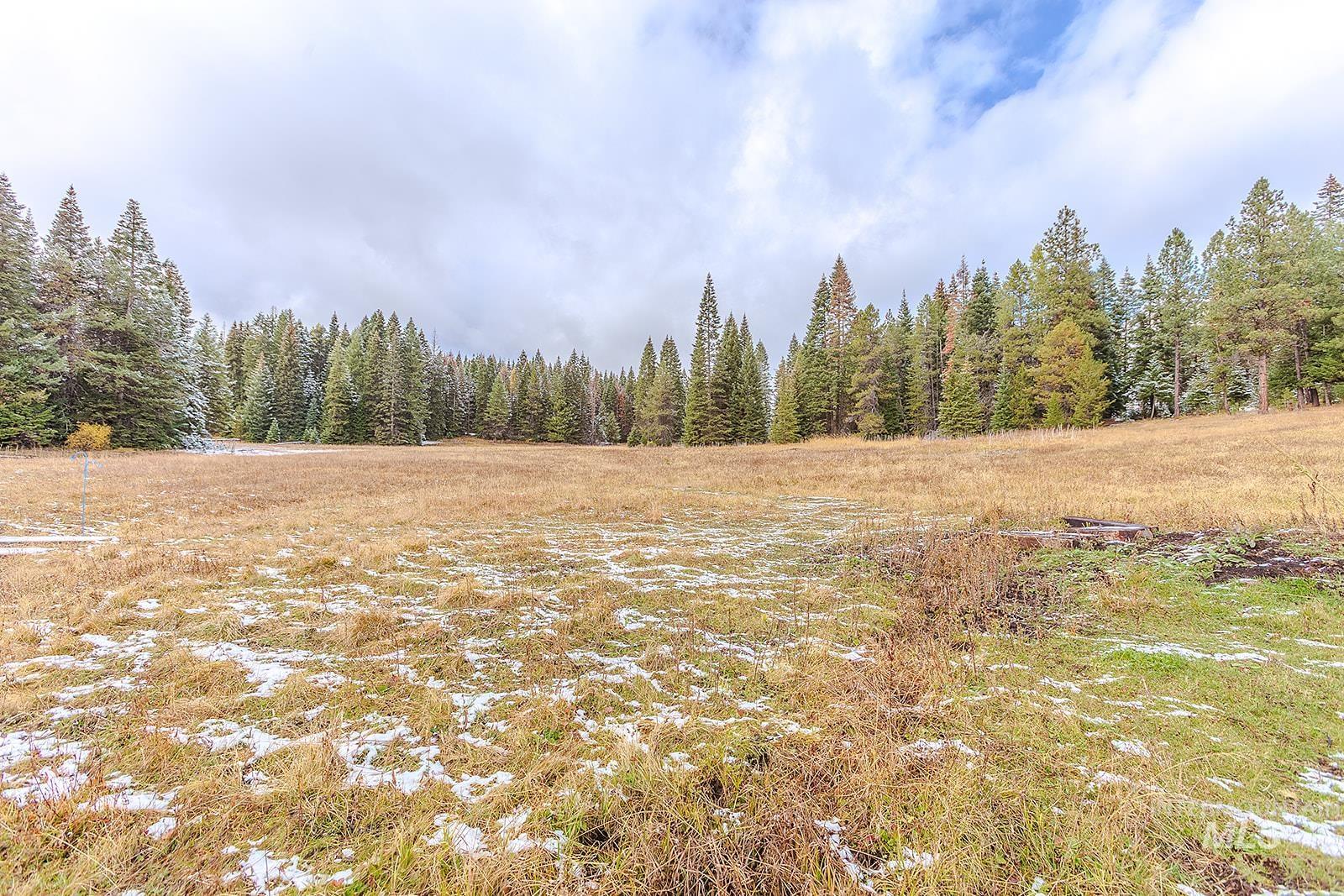 43406 Black Pine Drive, Winchester, Idaho 83555, 3 Bedrooms, 1 Bathroom, Residential For Sale, Price $559,000, 98965995