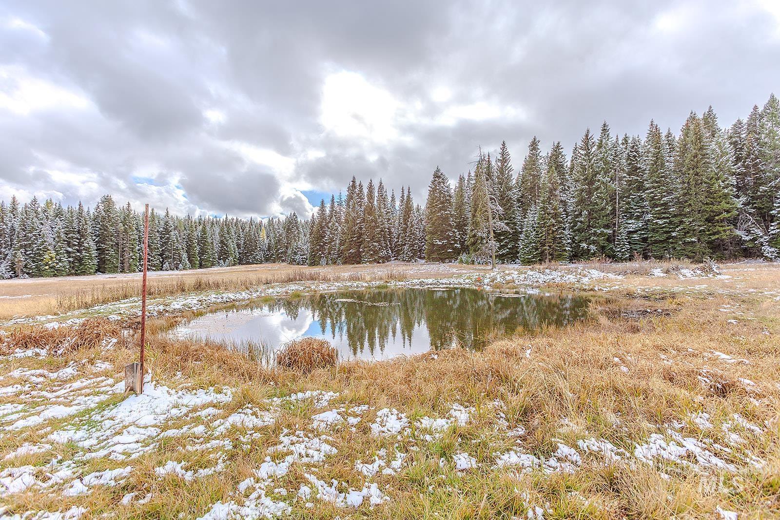 43406 Black Pine Drive, Winchester, Idaho 83555, 3 Bedrooms, 1 Bathroom, Residential For Sale, Price $559,000, 98965995