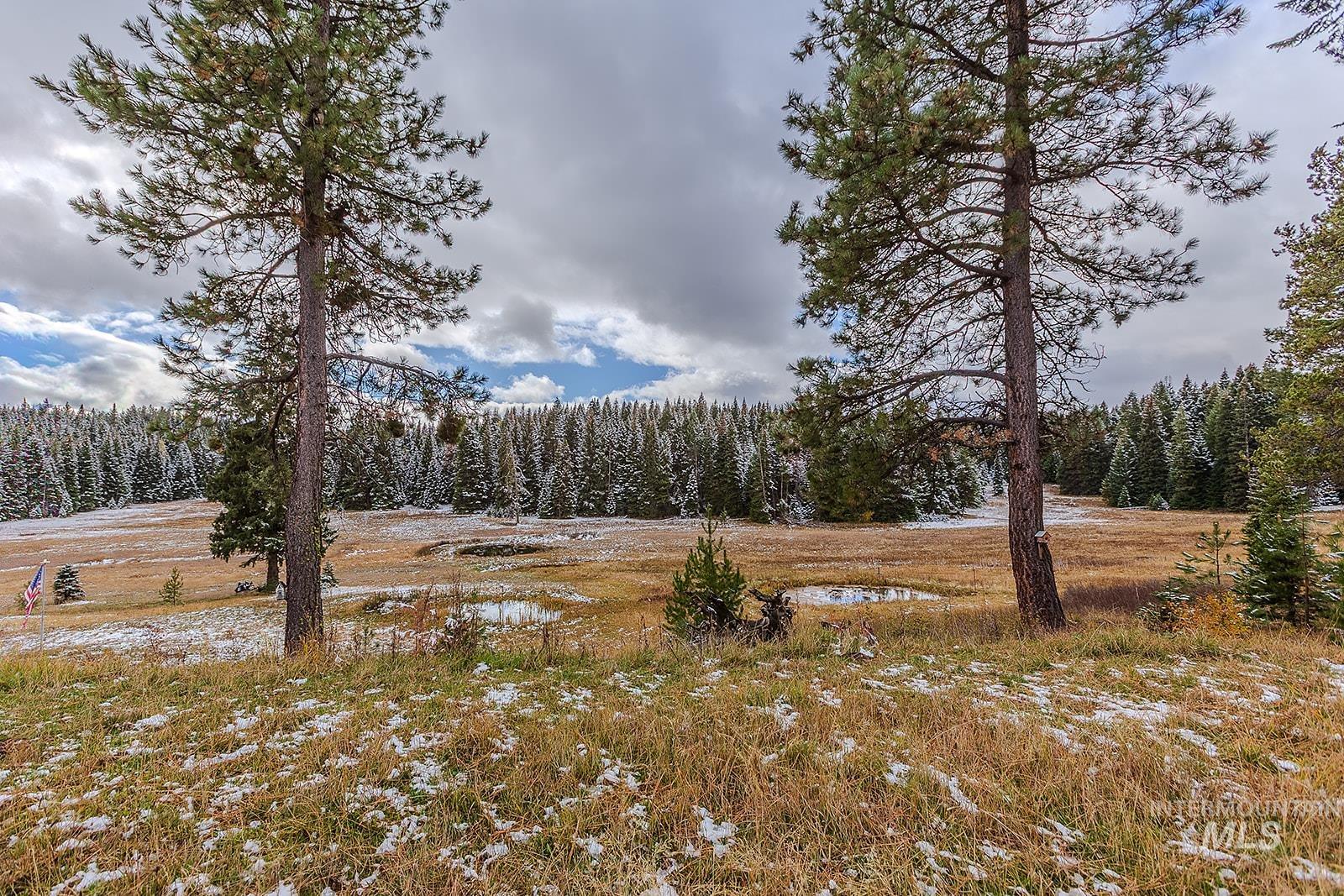 43406 Black Pine Drive, Winchester, Idaho 83555, 3 Bedrooms, 1 Bathroom, Residential For Sale, Price $559,000, 98965995