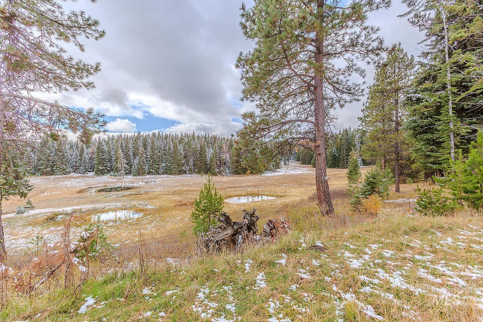 43406 Black Pine Drive, Winchester, Idaho 83555, 3 Bedrooms, 1 Bathroom, Residential For Sale, Price $559,000, 98965995