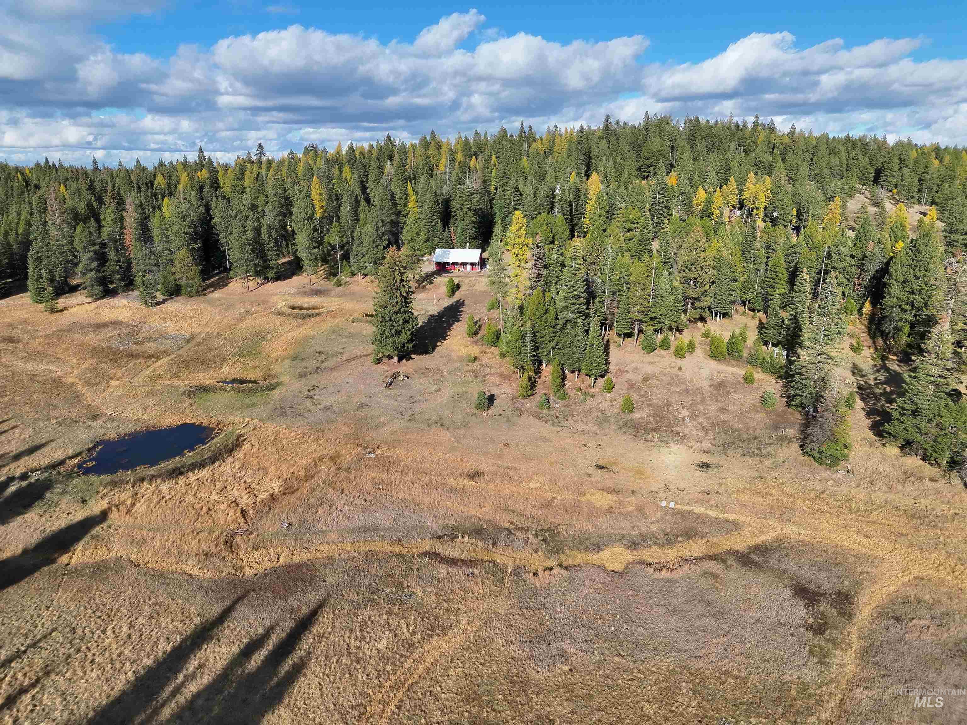 43406 Black Pine Drive, Winchester, Idaho 83555, 3 Bedrooms, 1 Bathroom, Residential For Sale, Price $559,000, 98965995