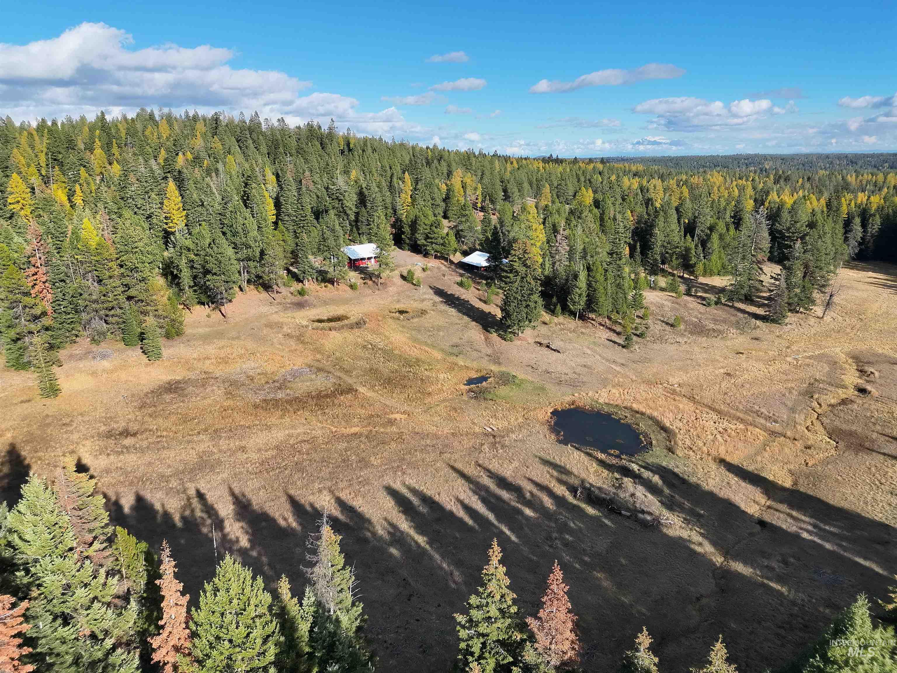 43406 Black Pine Drive, Winchester, Idaho 83555, 3 Bedrooms, 1 Bathroom, Residential For Sale, Price $559,000, 98965995