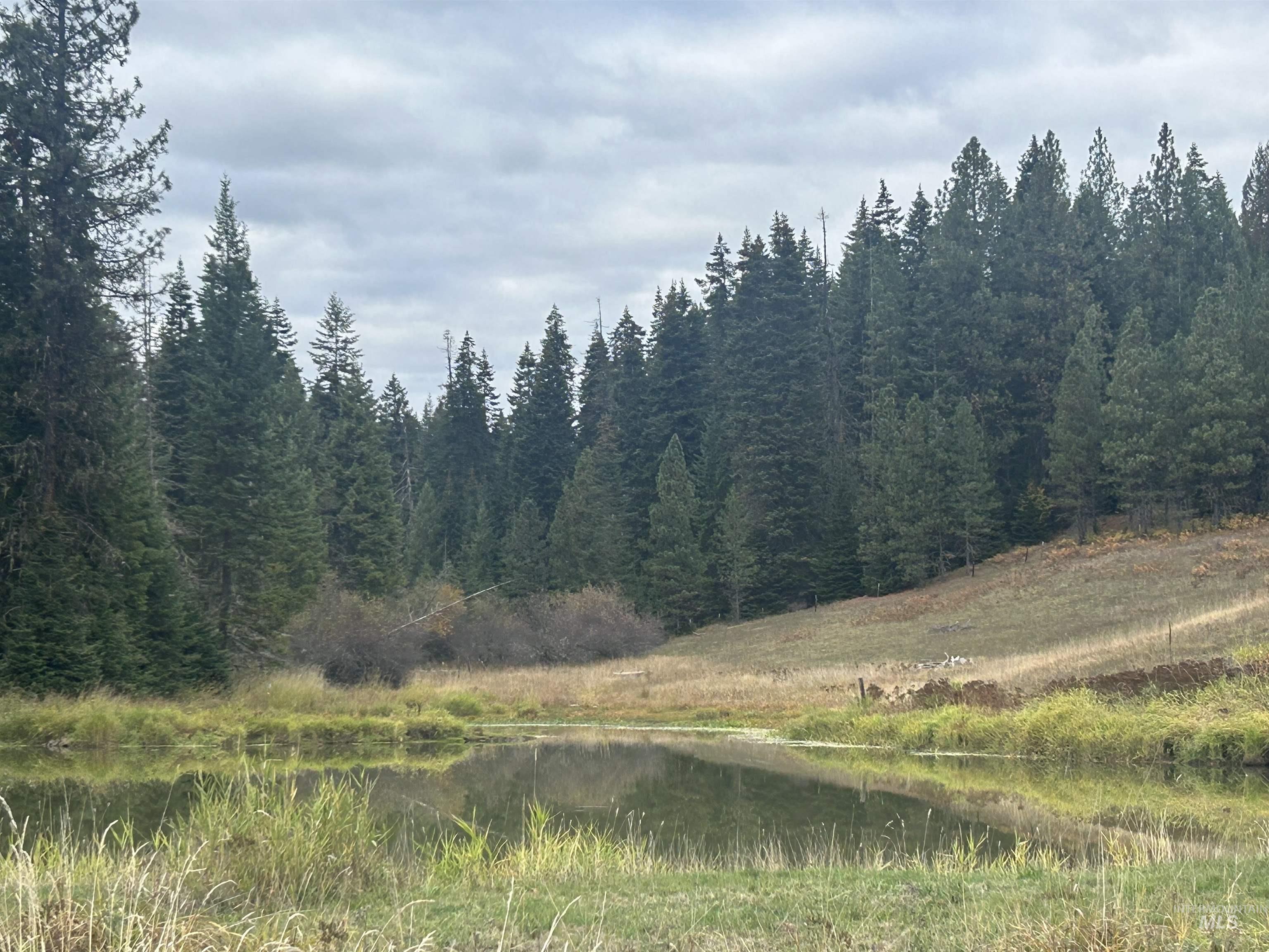 TBD LOT 1 Glenwood Road, Kamiah, Idaho 83536, Land For Sale, Price $139,900, 98966024