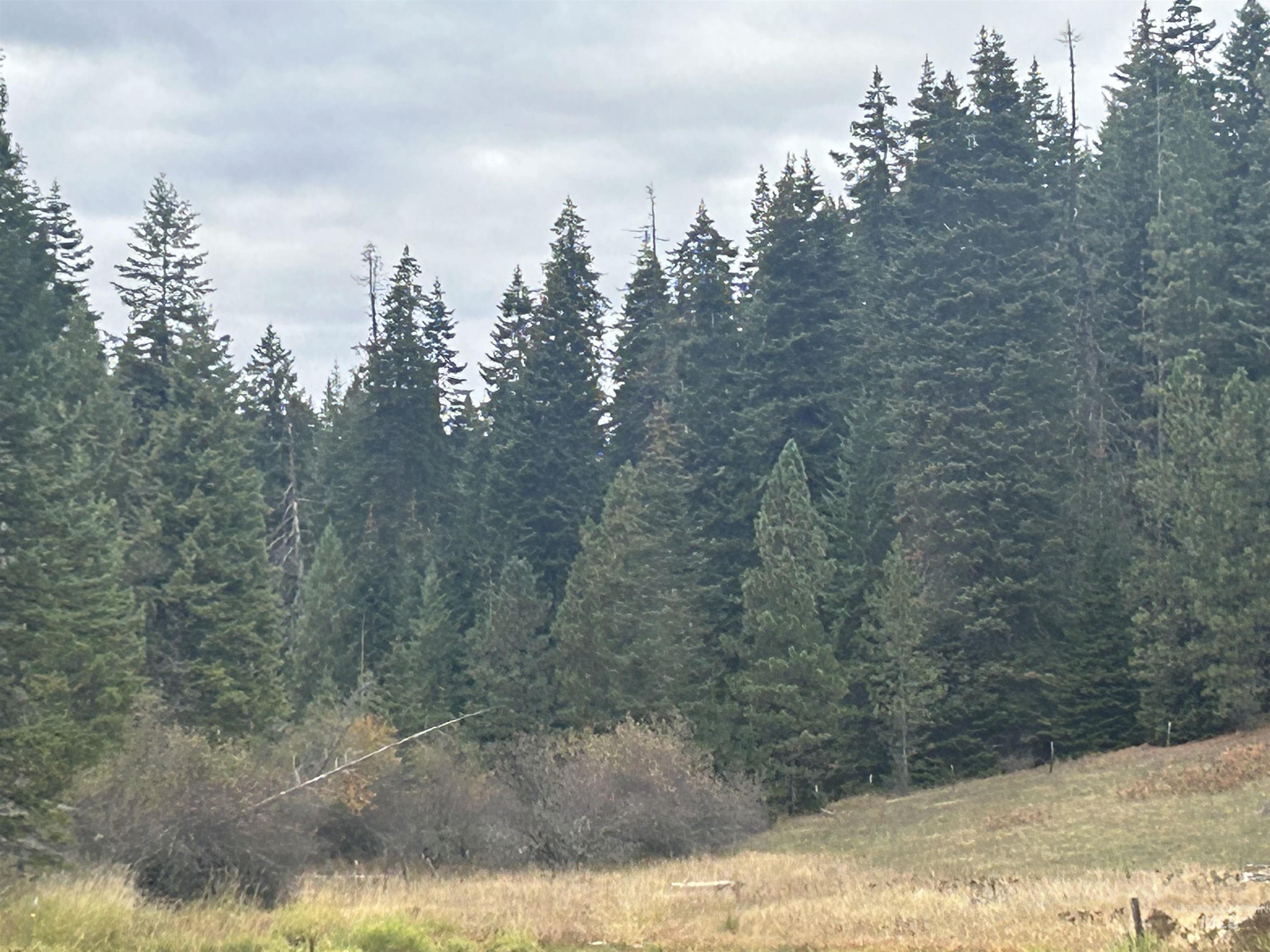 TBD LOT 1 Glenwood Road, Kamiah, Idaho 83536, Land For Sale, Price $139,900, 98966024
