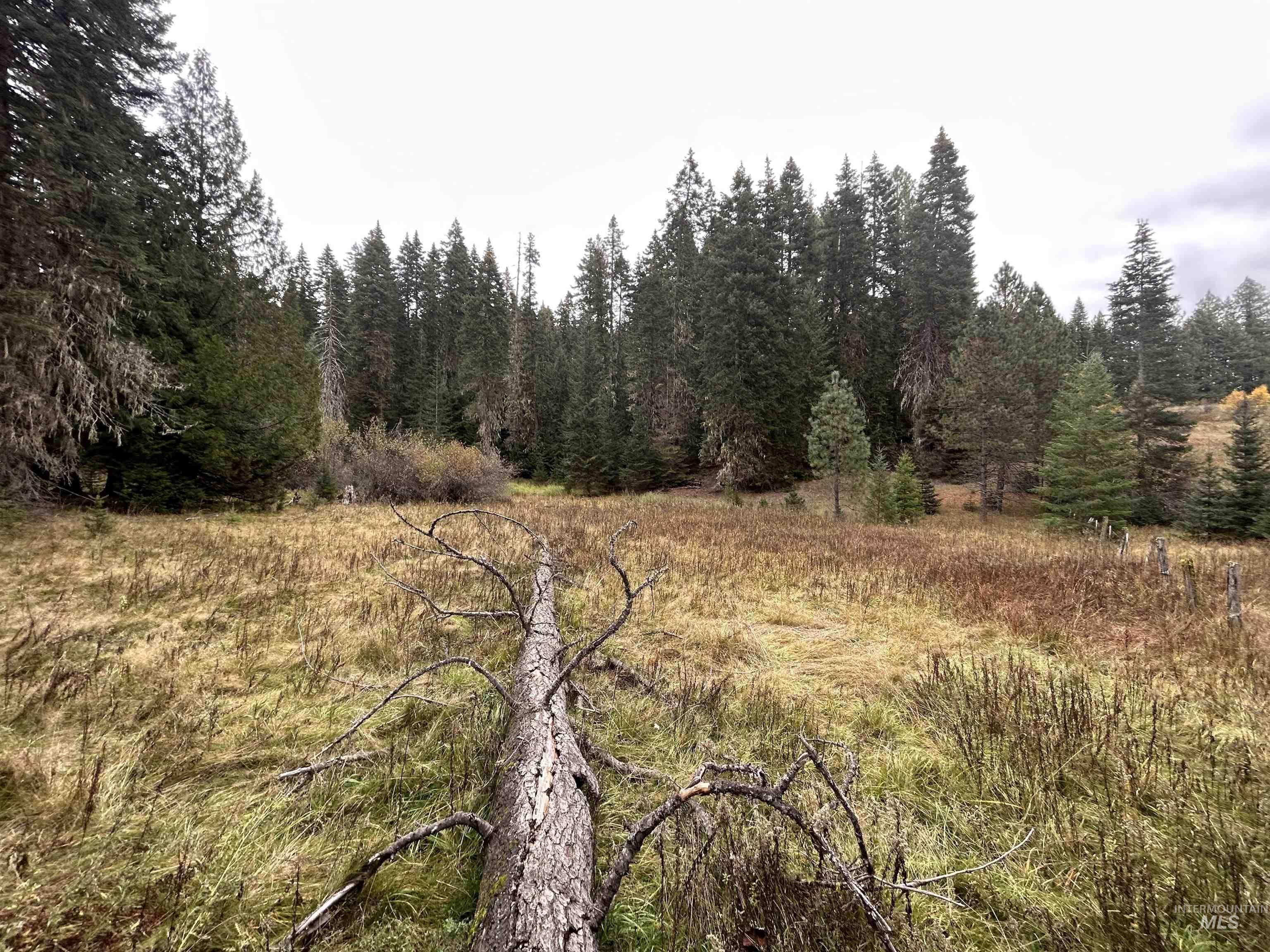 TBD LOT 1 Glenwood Road, Kamiah, Idaho 83536, Land For Sale, Price $139,900, 98966024