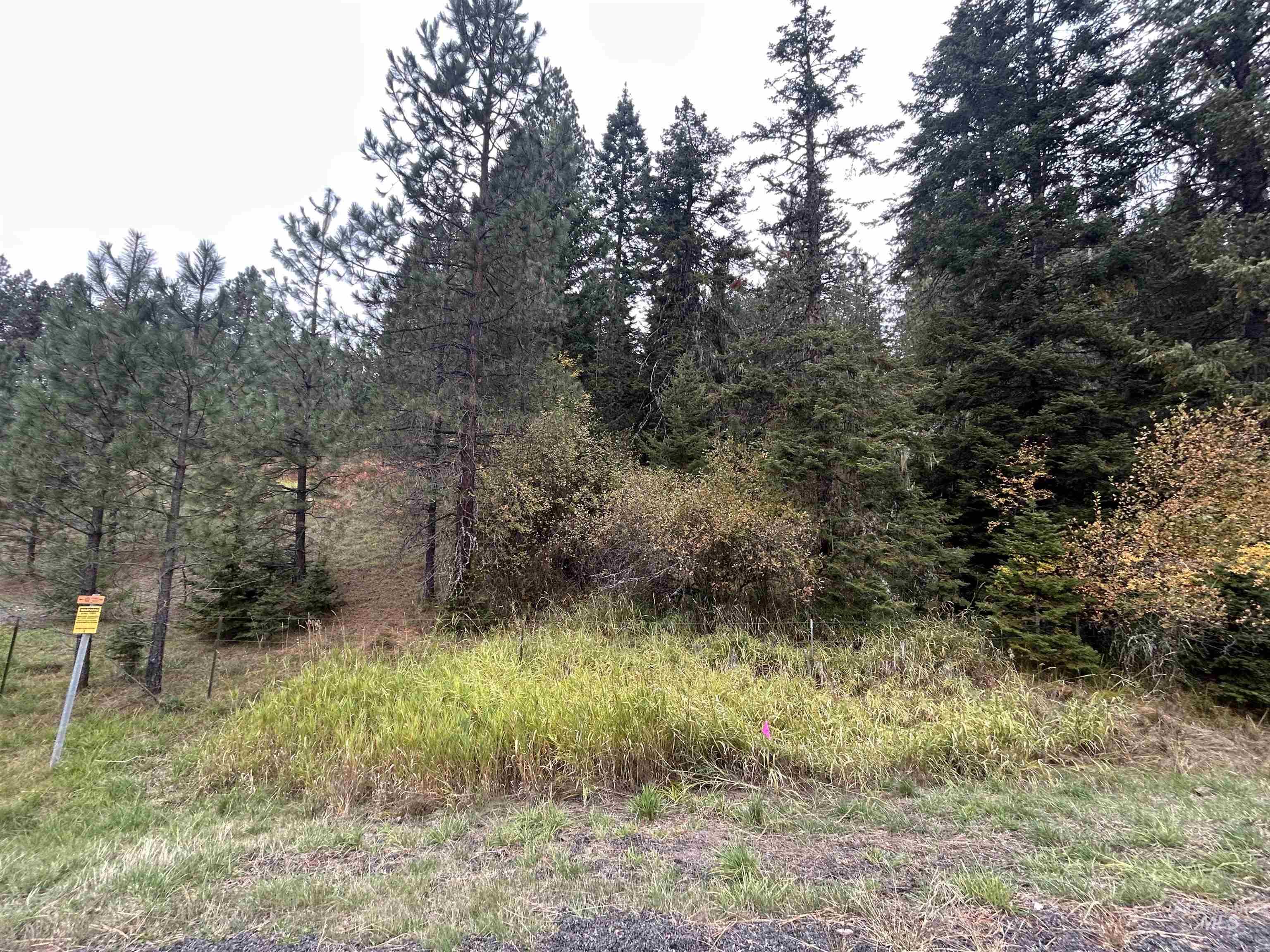 TBD LOT 1 Glenwood Road, Kamiah, Idaho 83536, Land For Sale, Price $139,900, 98966024