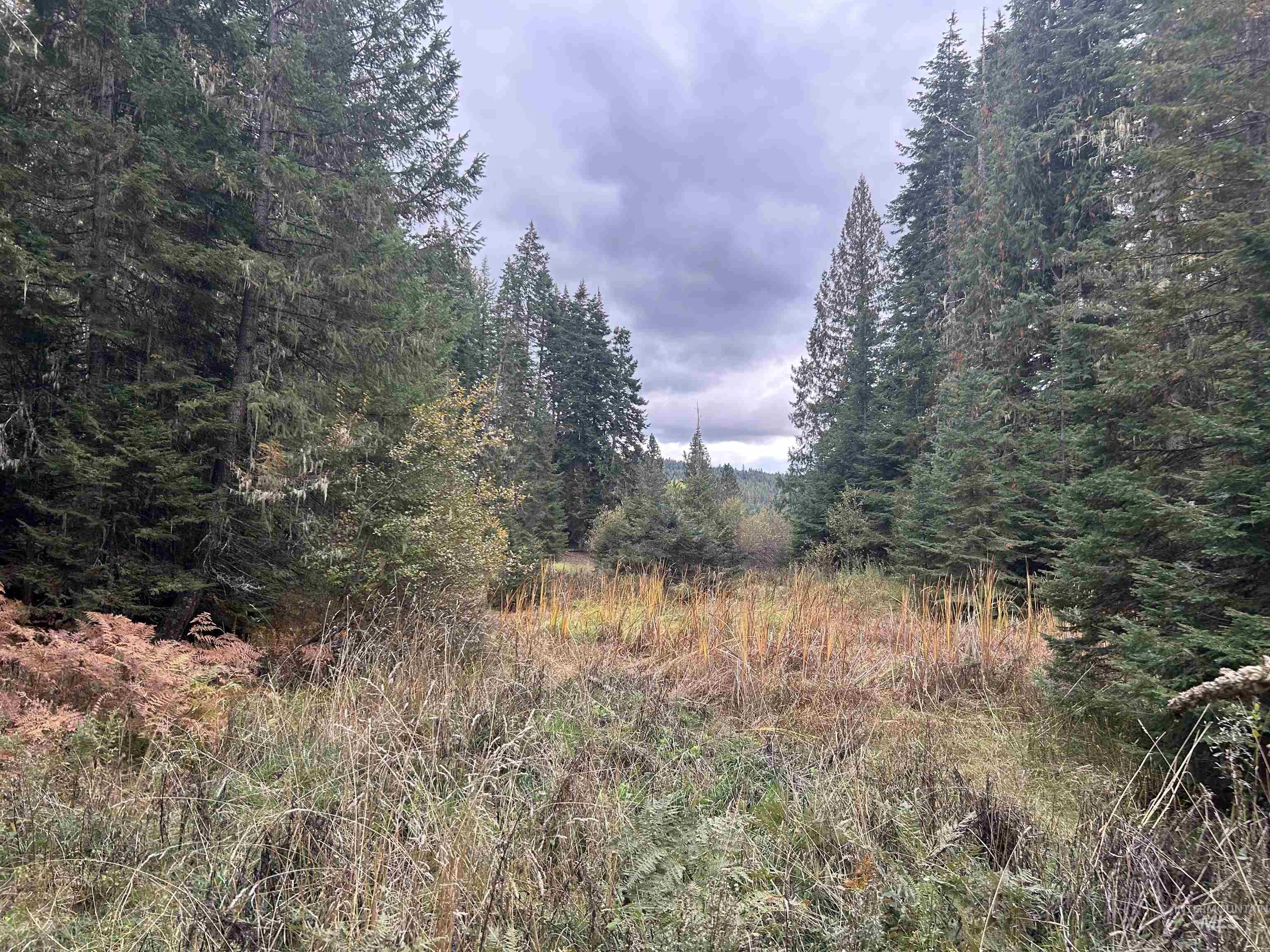 TBD LOT 1 Glenwood Road, Kamiah, Idaho 83536, Land For Sale, Price $139,900, 98966024