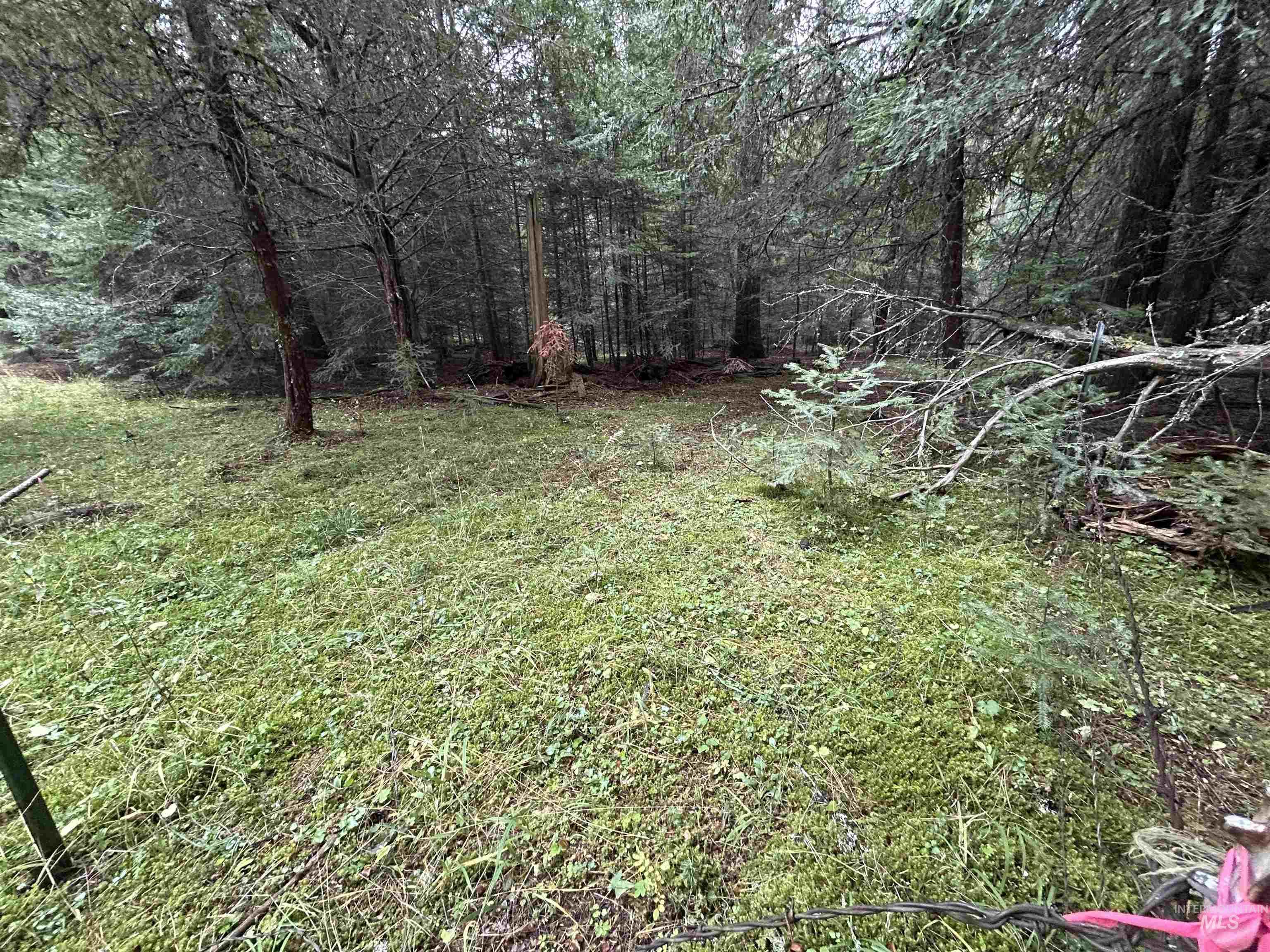 TBD LOT 1 Glenwood Road, Kamiah, Idaho 83536, Land For Sale, Price $139,900, 98966024