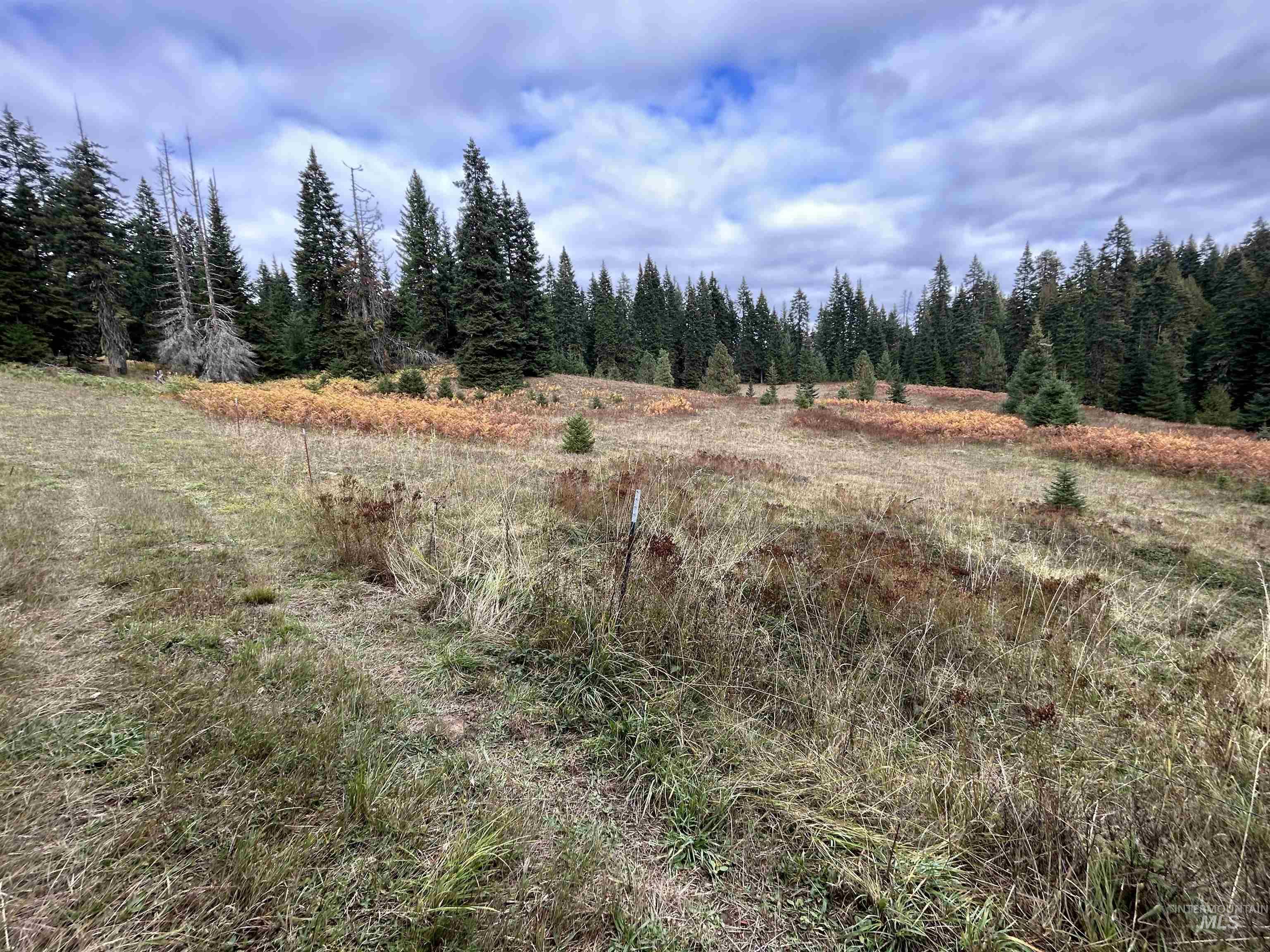 TBD LOT 3 Glenwood Road, Kamiah, Idaho 83536, Land For Sale, Price $139,900, 98966025