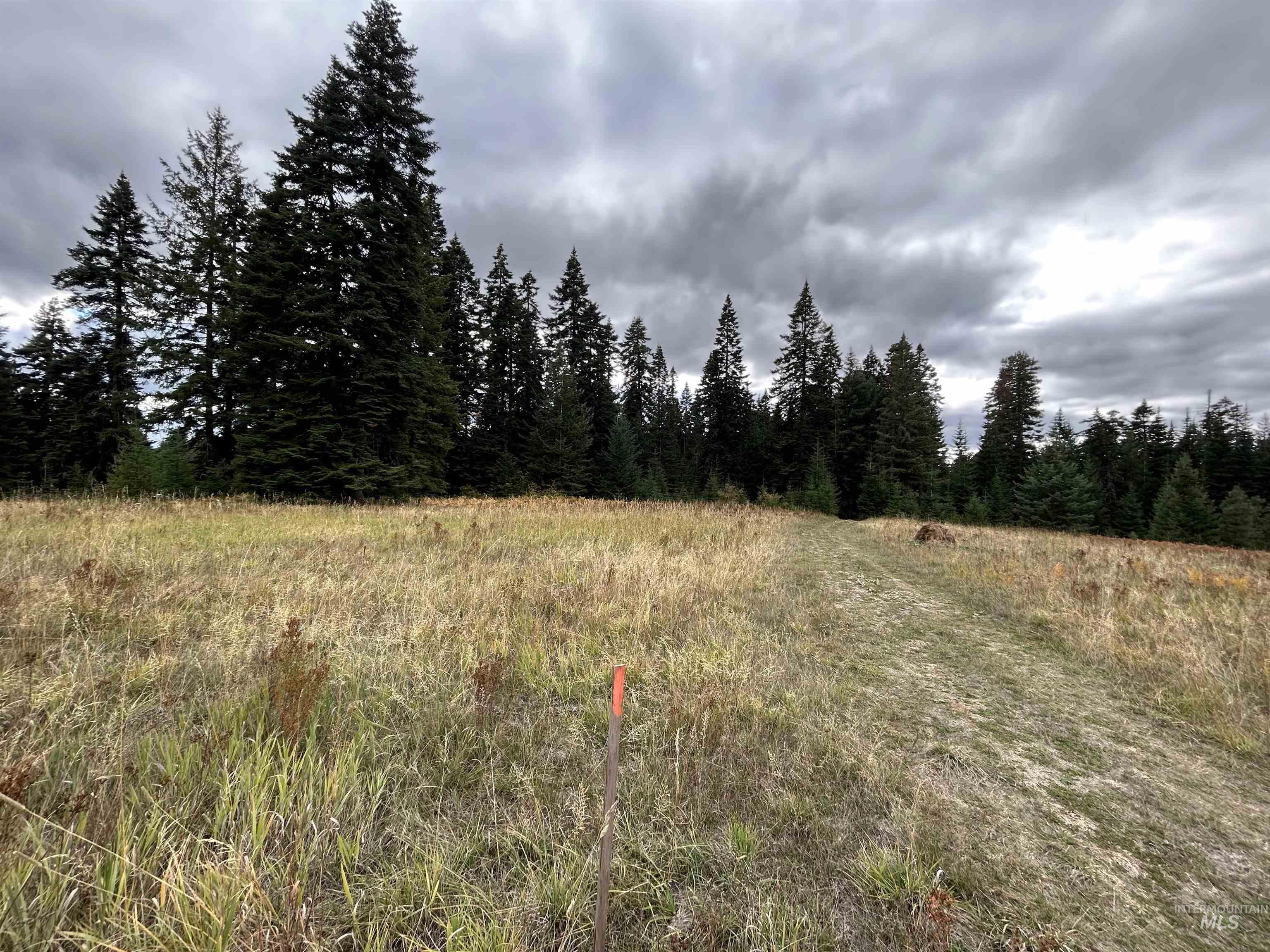 TBD LOT 3 Glenwood Road, Kamiah, Idaho 83536, Land For Sale, Price $139,900, 98966025