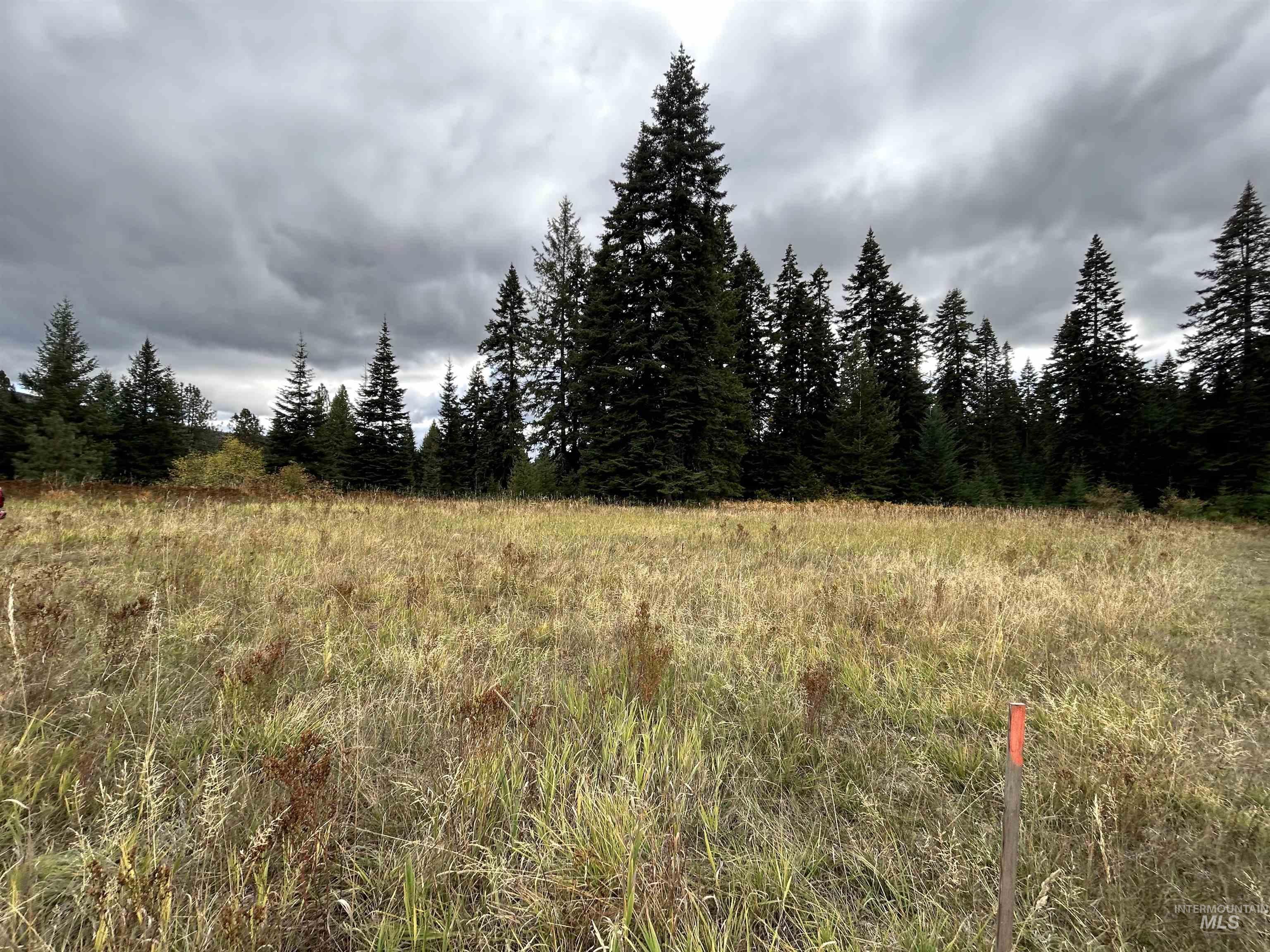TBD LOT 3 Glenwood Road, Kamiah, Idaho 83536, Land For Sale, Price $139,900, 98966025