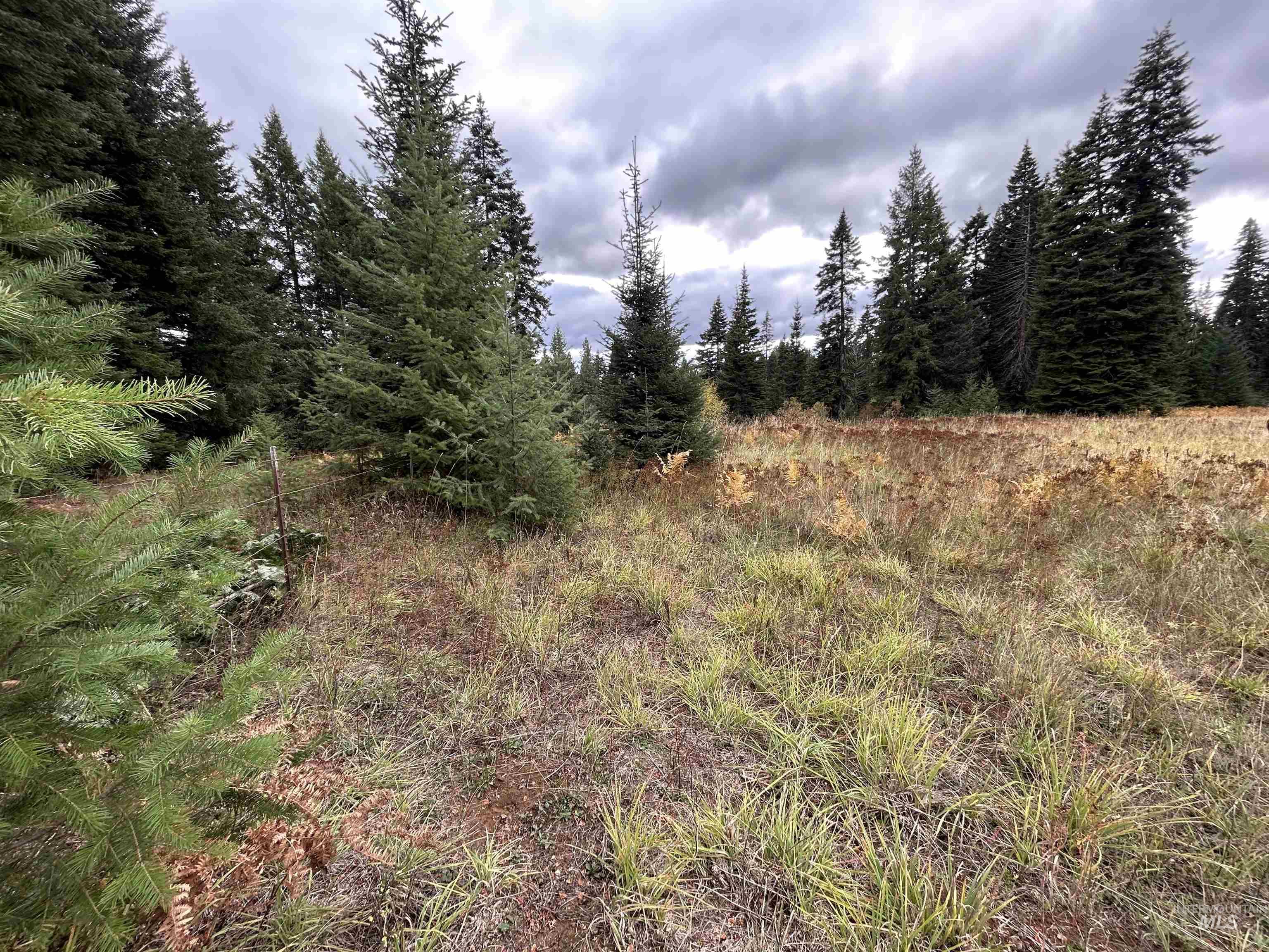 TBD LOT 3 Glenwood Road, Kamiah, Idaho 83536, Land For Sale, Price $139,900, 98966025
