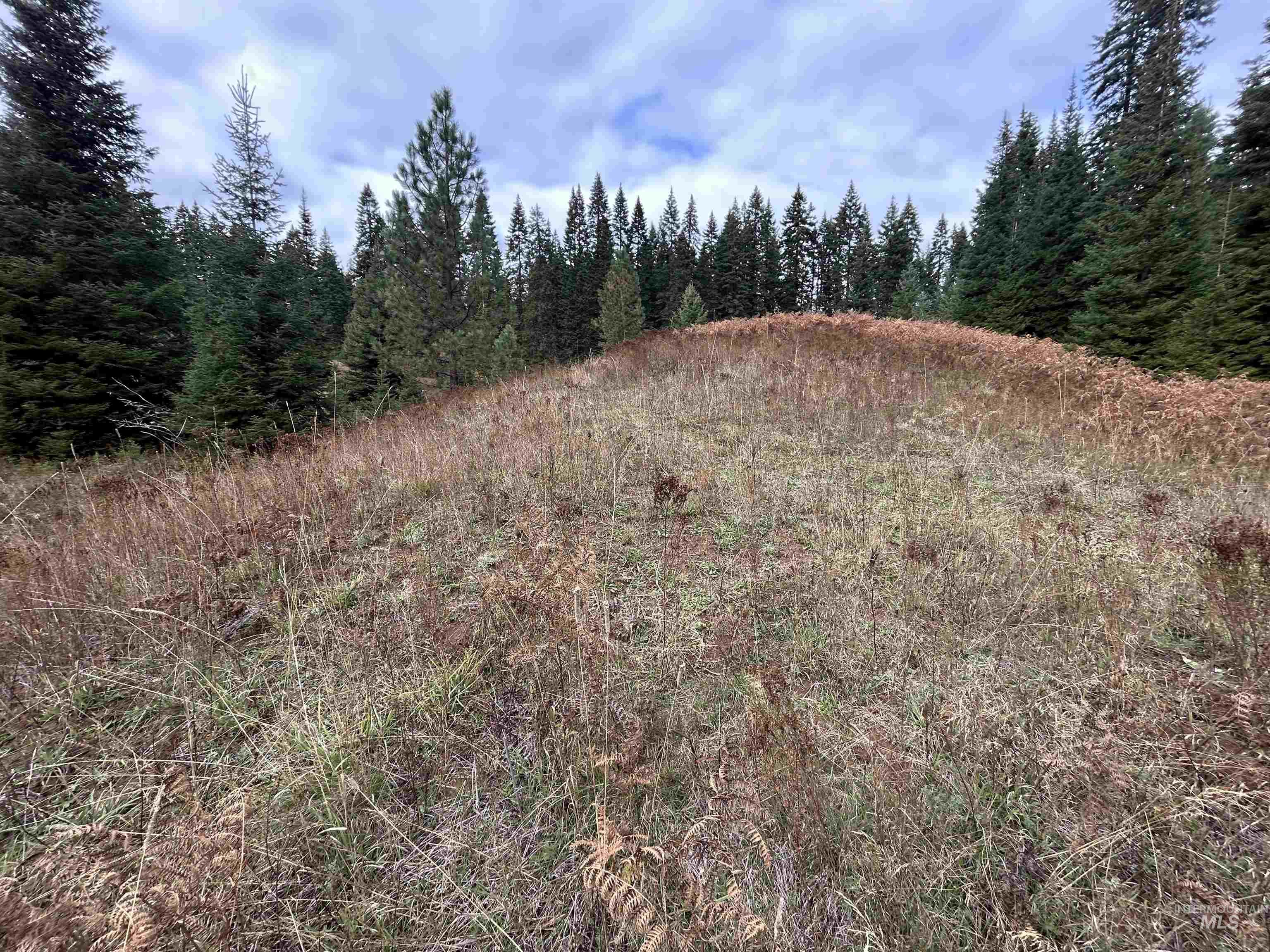TBD LOT 3 Glenwood Road, Kamiah, Idaho 83536, Land For Sale, Price $139,900, 98966025