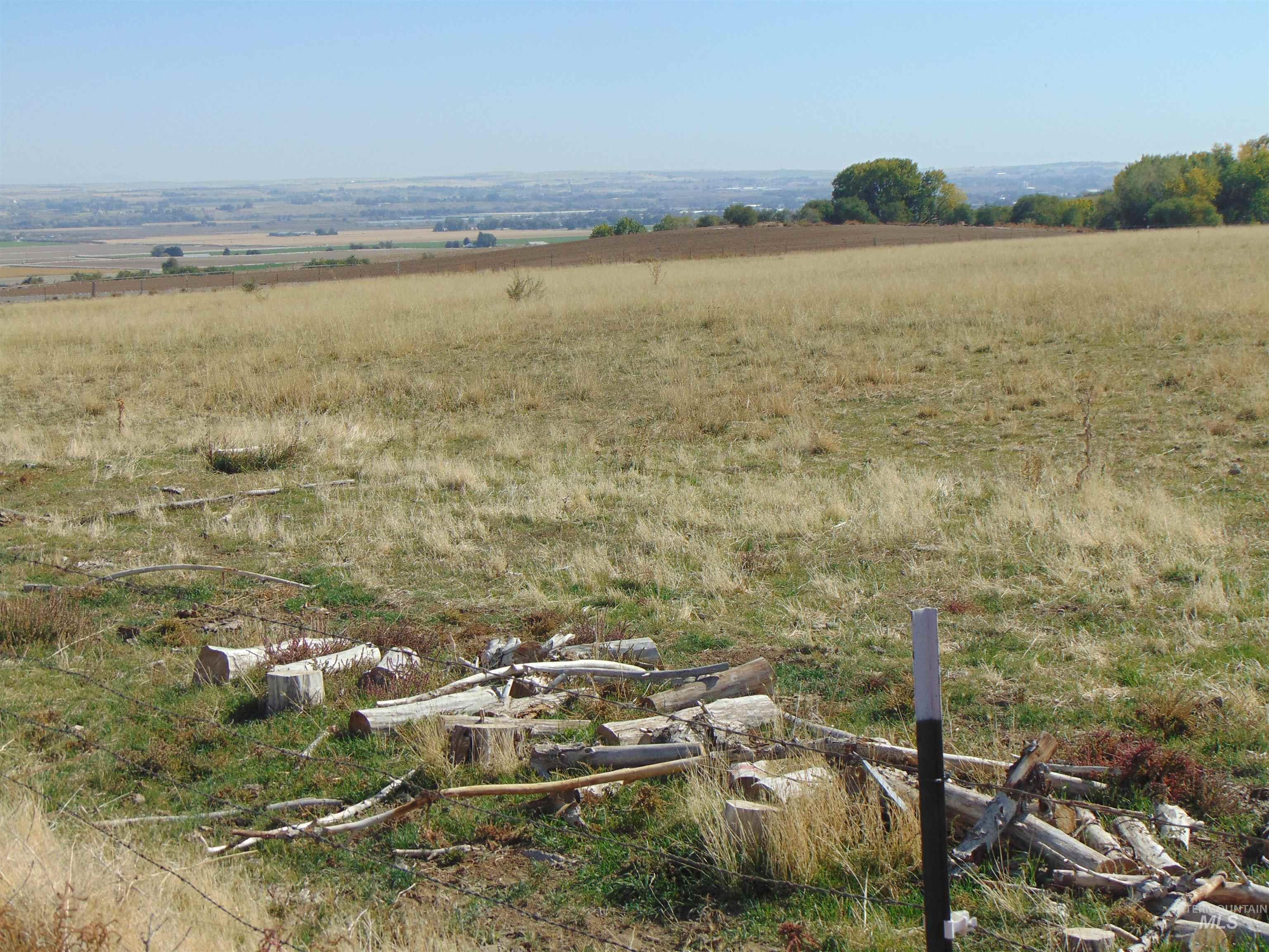 View of local wilderness with rural landscape