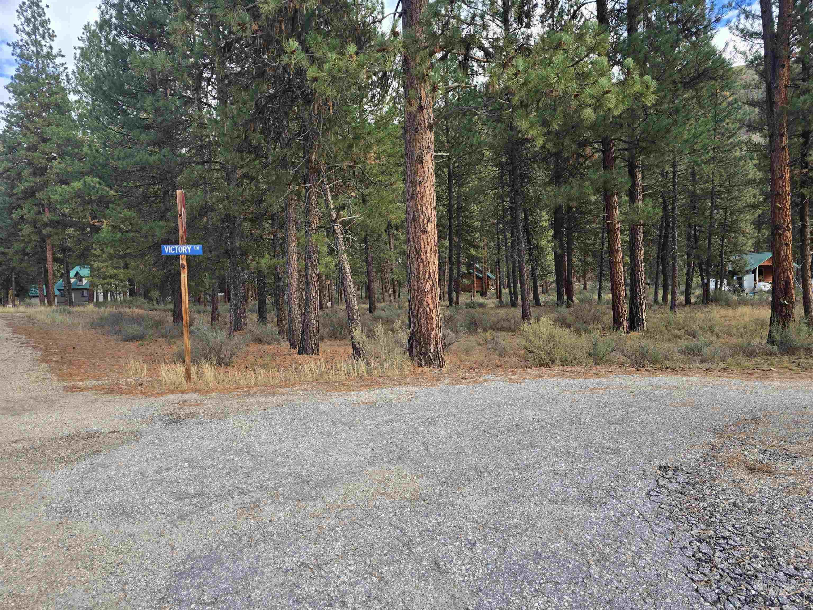 TBD Hwy 21 lots 8, 9, Lowman, Idaho 83637, Land For Sale, Price $115,000,MLS 98966515