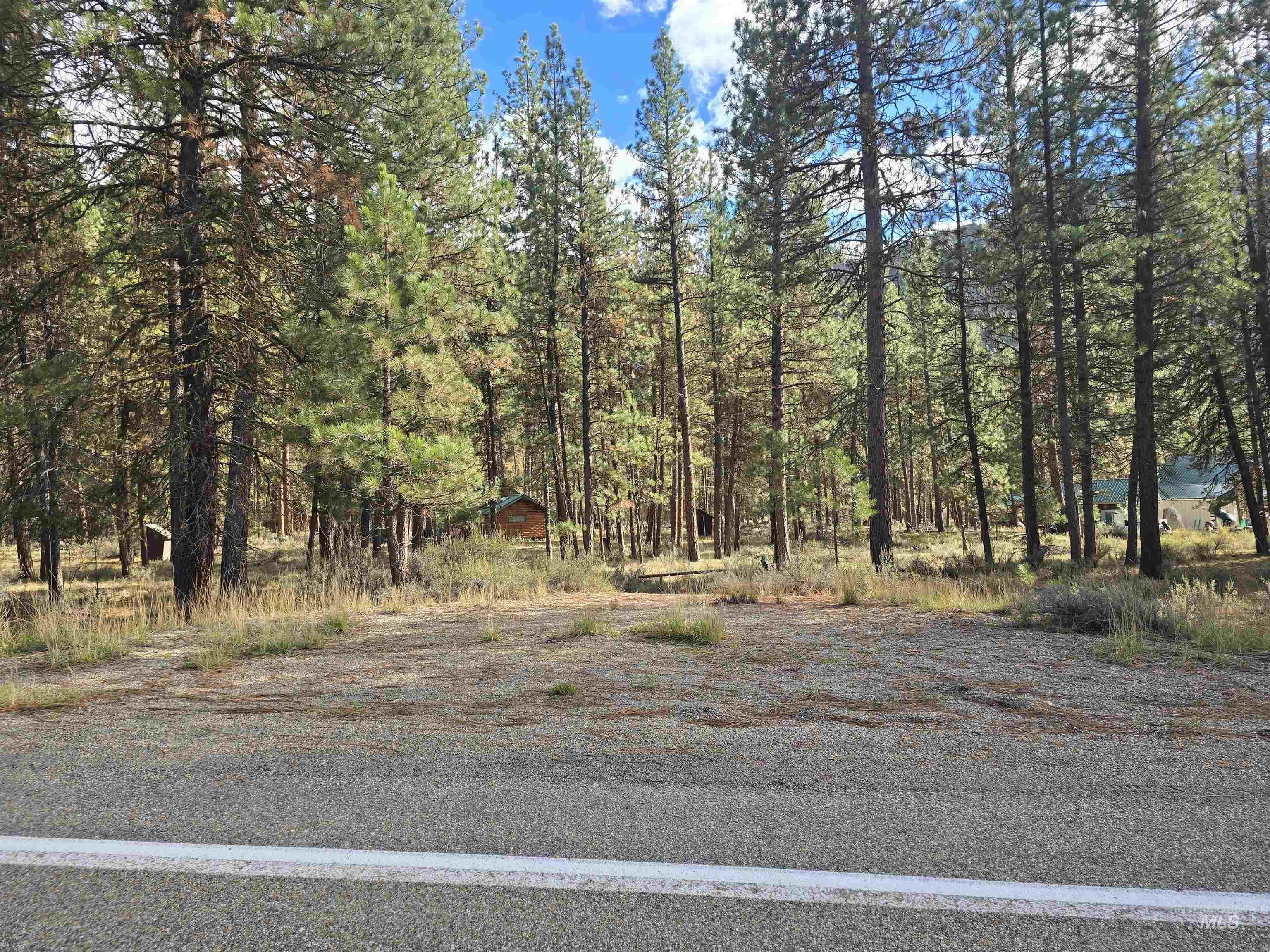 TBD Hwy 21 lots 8, 9, Lowman, Idaho 83637, Land For Sale, Price $115,000,MLS 98966515