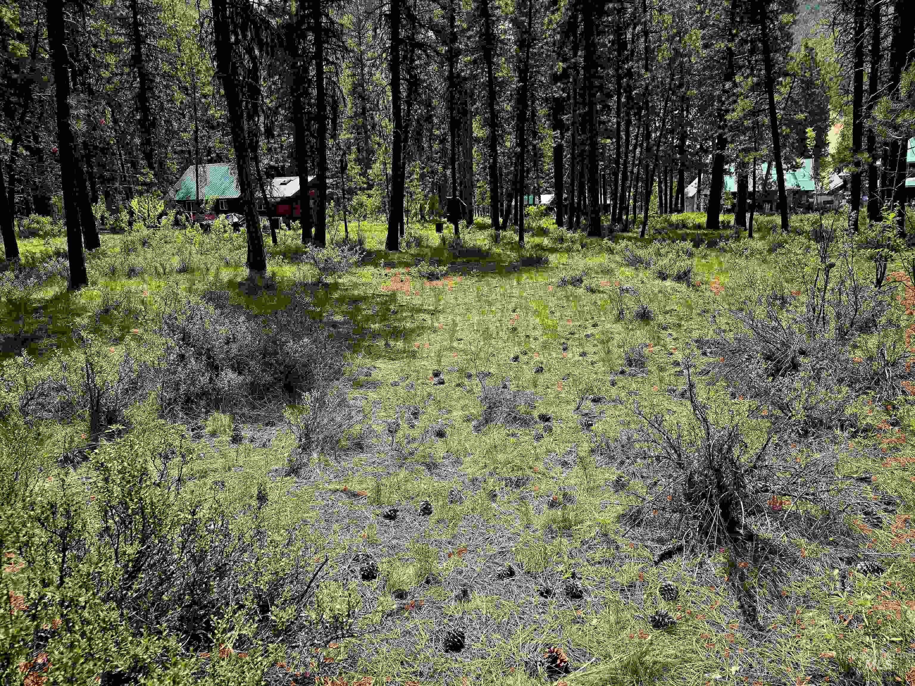 TBD Hwy 21 lots 8, 9, Lowman, Idaho 83637, Land For Sale, Price $115,000,MLS 98966515