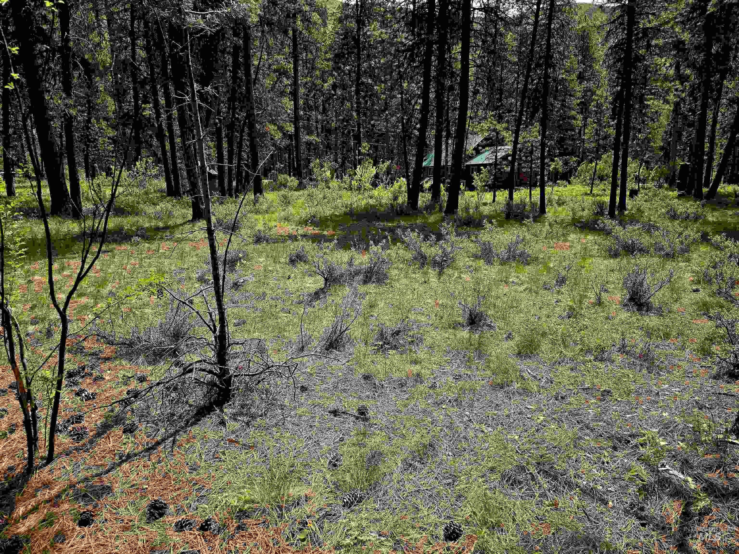 TBD Hwy 21 lots 8, 9, Lowman, Idaho 83637, Land For Sale, Price $115,000,MLS 98966515