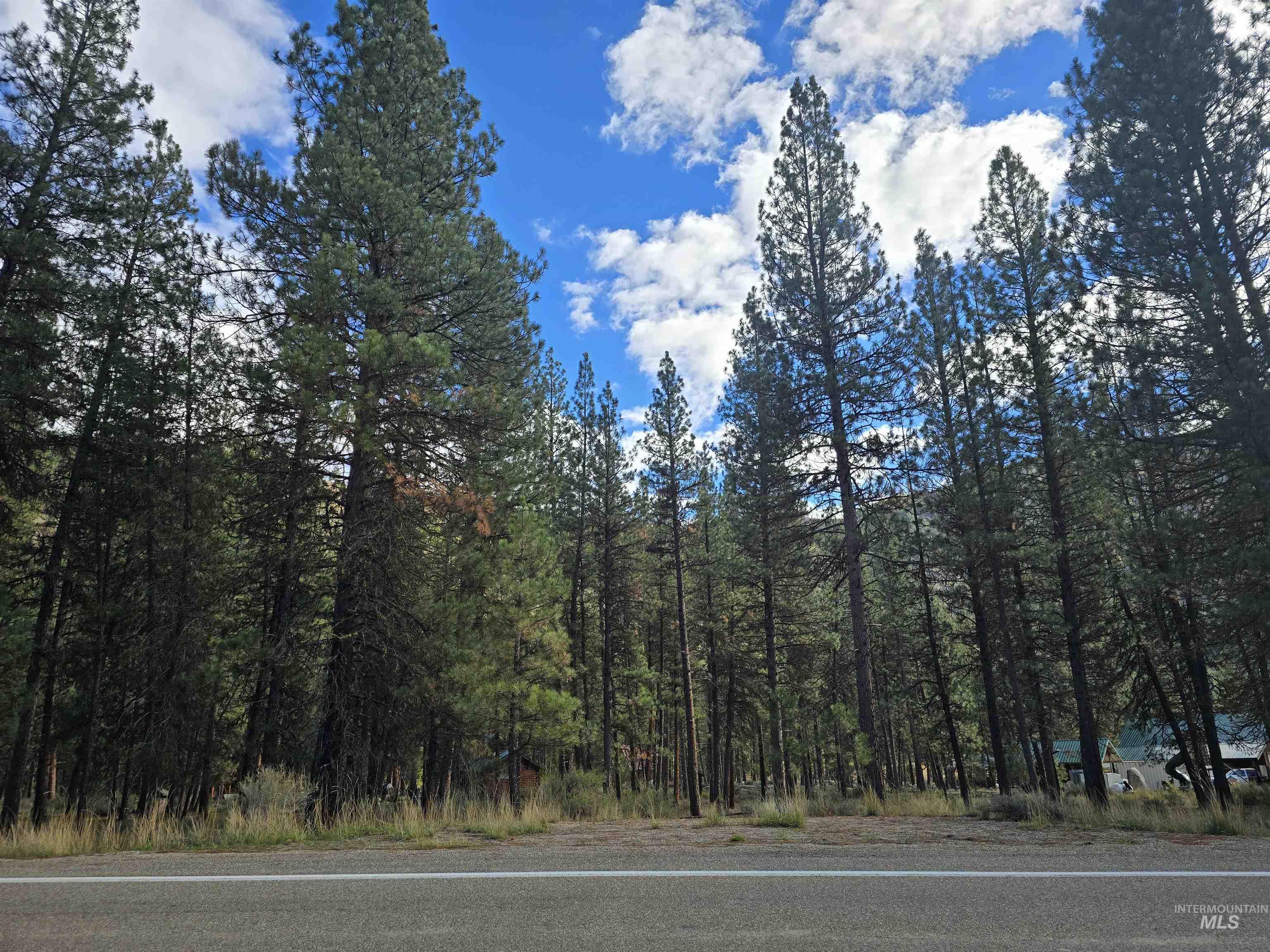 TBD Hwy 21 lots 8, 9, Lowman, Idaho 83637, Land For Sale, Price $115,000,MLS 98966515