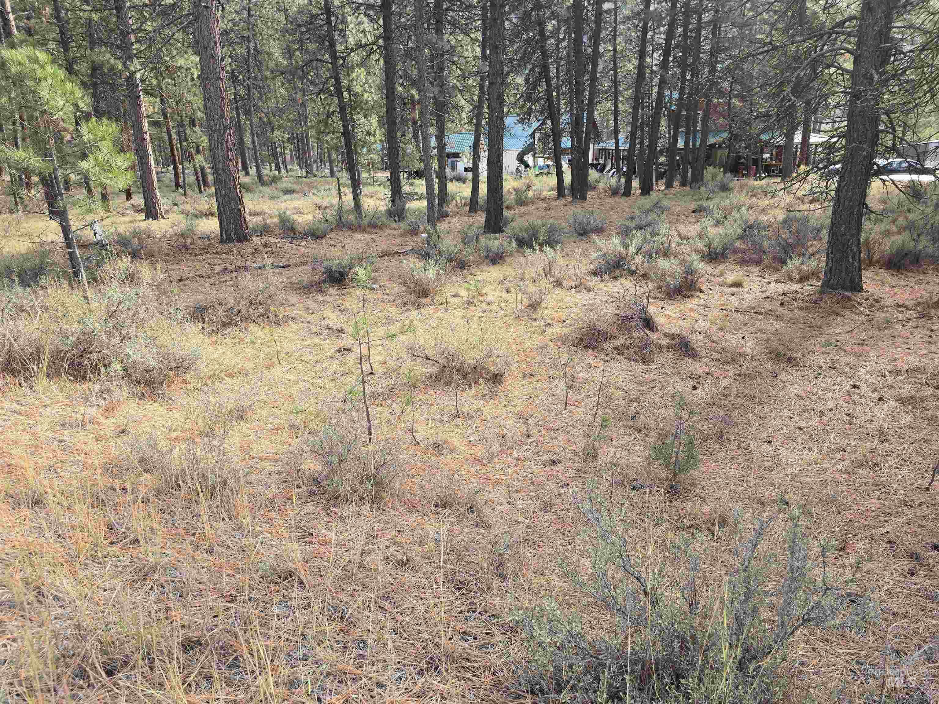 TBD Hwy 21 lots 8, 9, Lowman, Idaho 83637, Land For Sale, Price $115,000,MLS 98966515