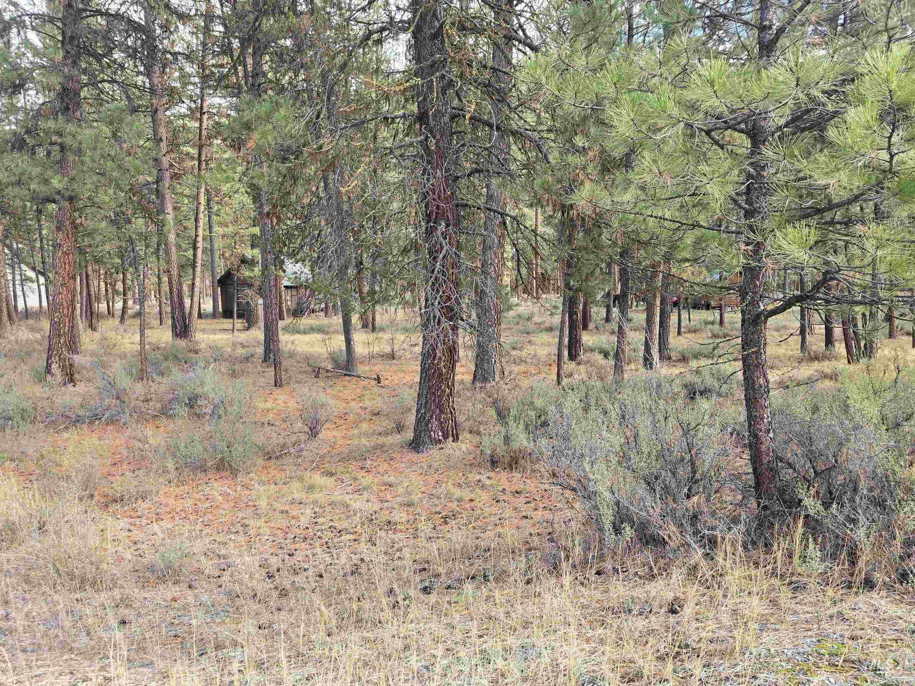 TBD Hwy 21 lots 8, 9, Lowman, Idaho 83637, Land For Sale, Price $115,000,MLS 98966515