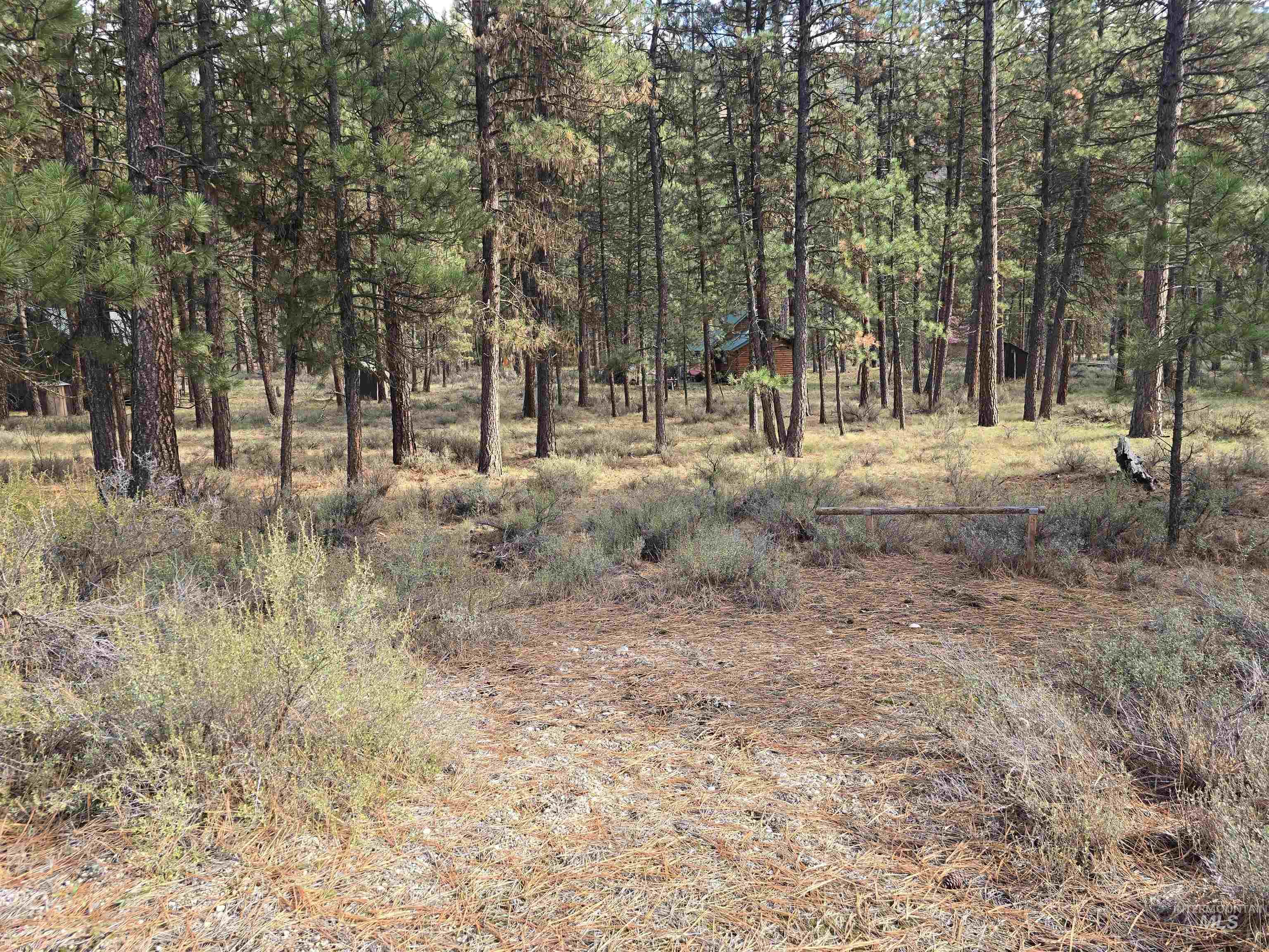 TBD Hwy 21 lots 8, 9, Lowman, Idaho 83637, Land For Sale, Price $115,000,MLS 98966515