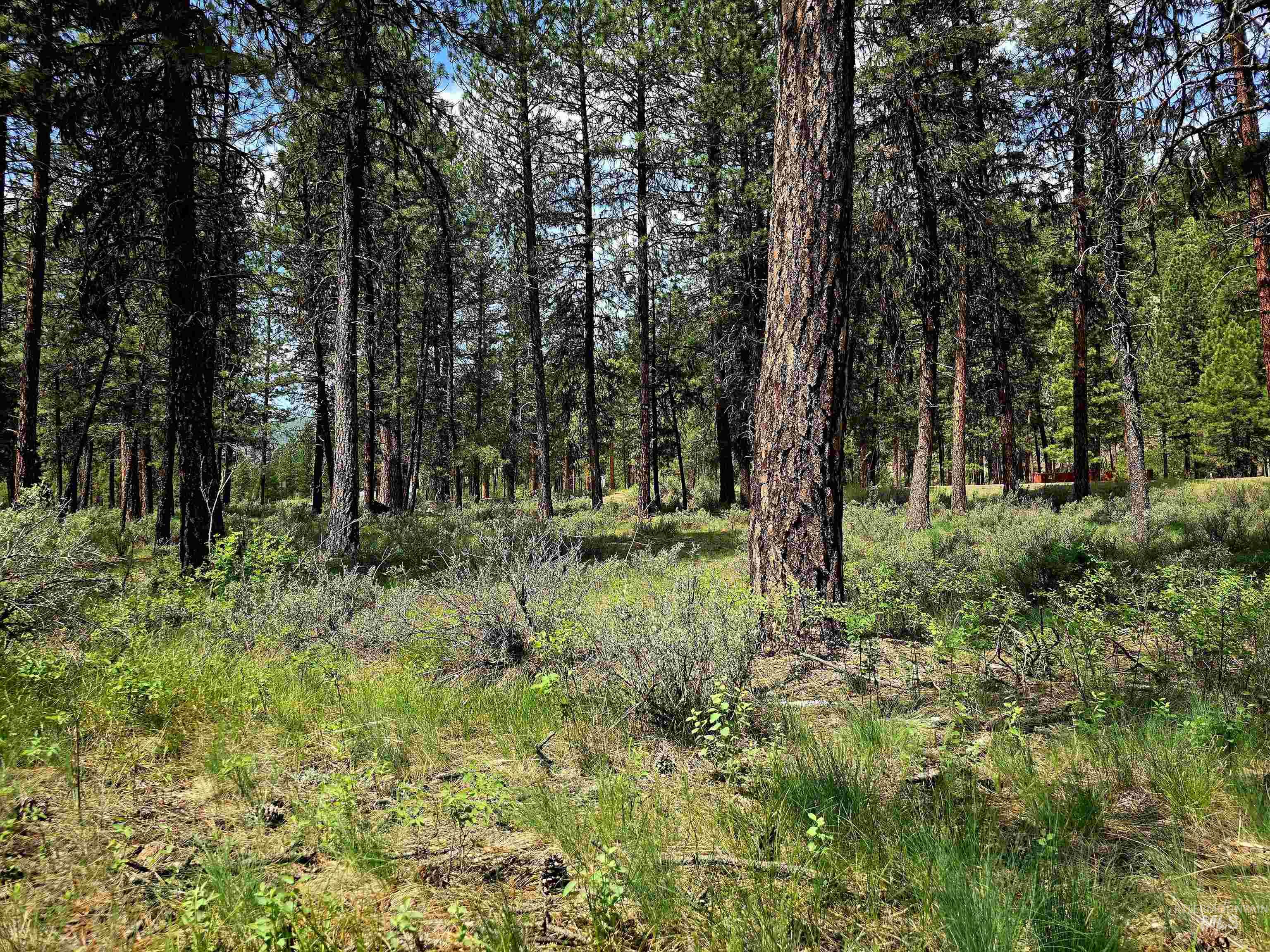 TBD Hwy 21 lots 8, 9, Lowman, Idaho 83637, Land For Sale, Price $115,000,MLS 98966515