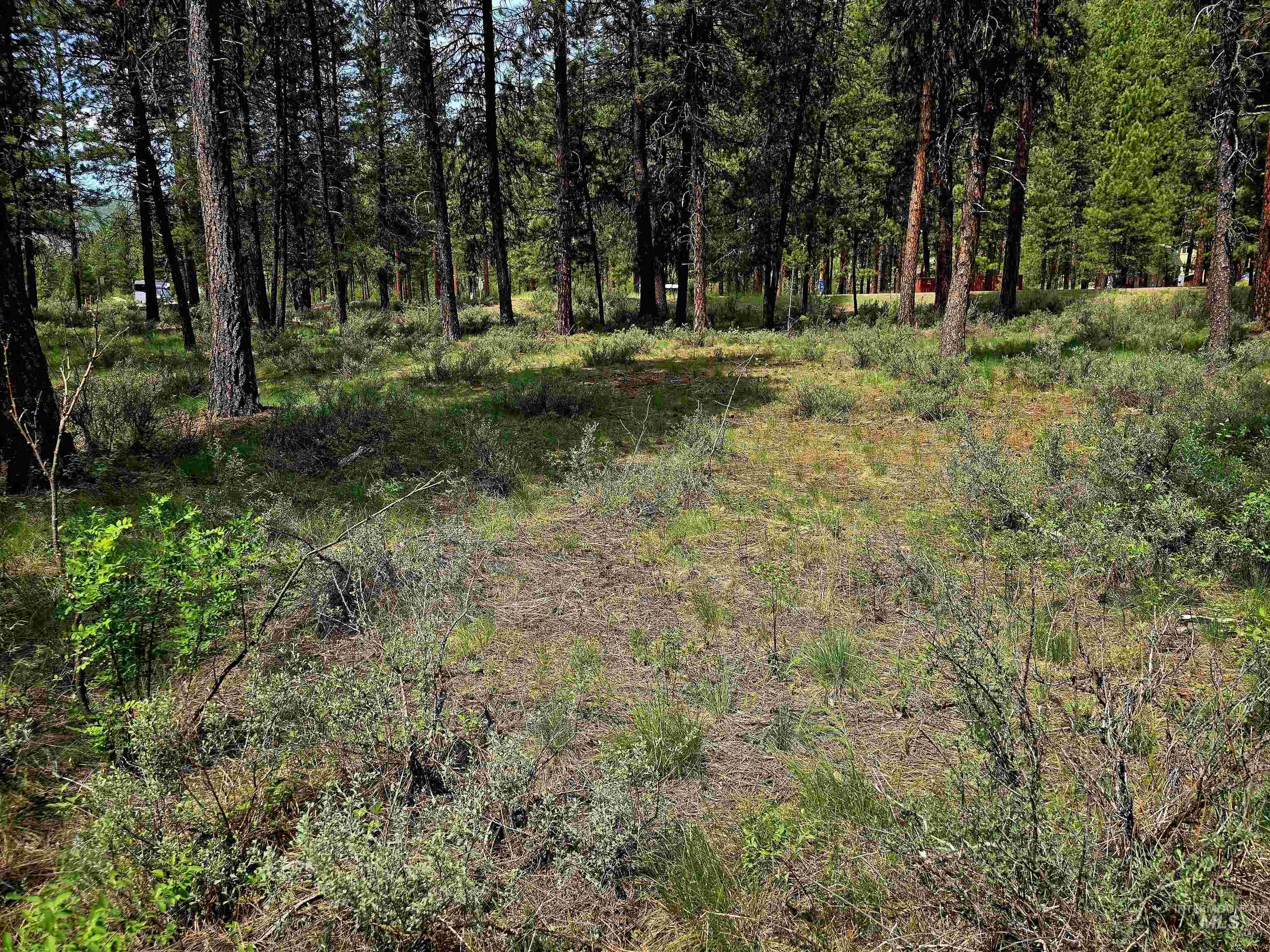 TBD Hwy 21 lots 8, 9, Lowman, Idaho 83637, Land For Sale, Price $115,000,MLS 98966515