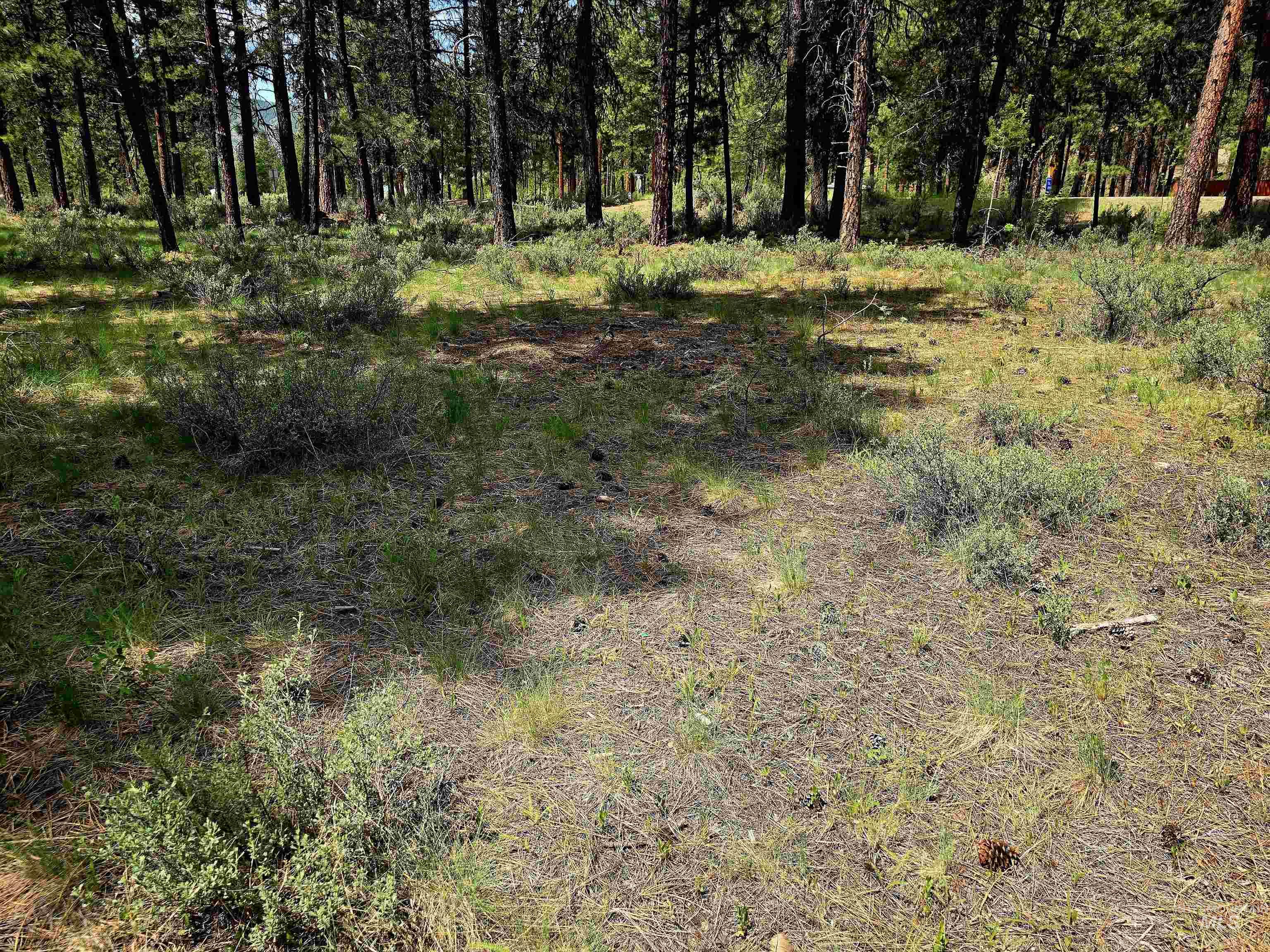 TBD Hwy 21 lots 8, 9, Lowman, Idaho 83637, Land For Sale, Price $115,000,MLS 98966515