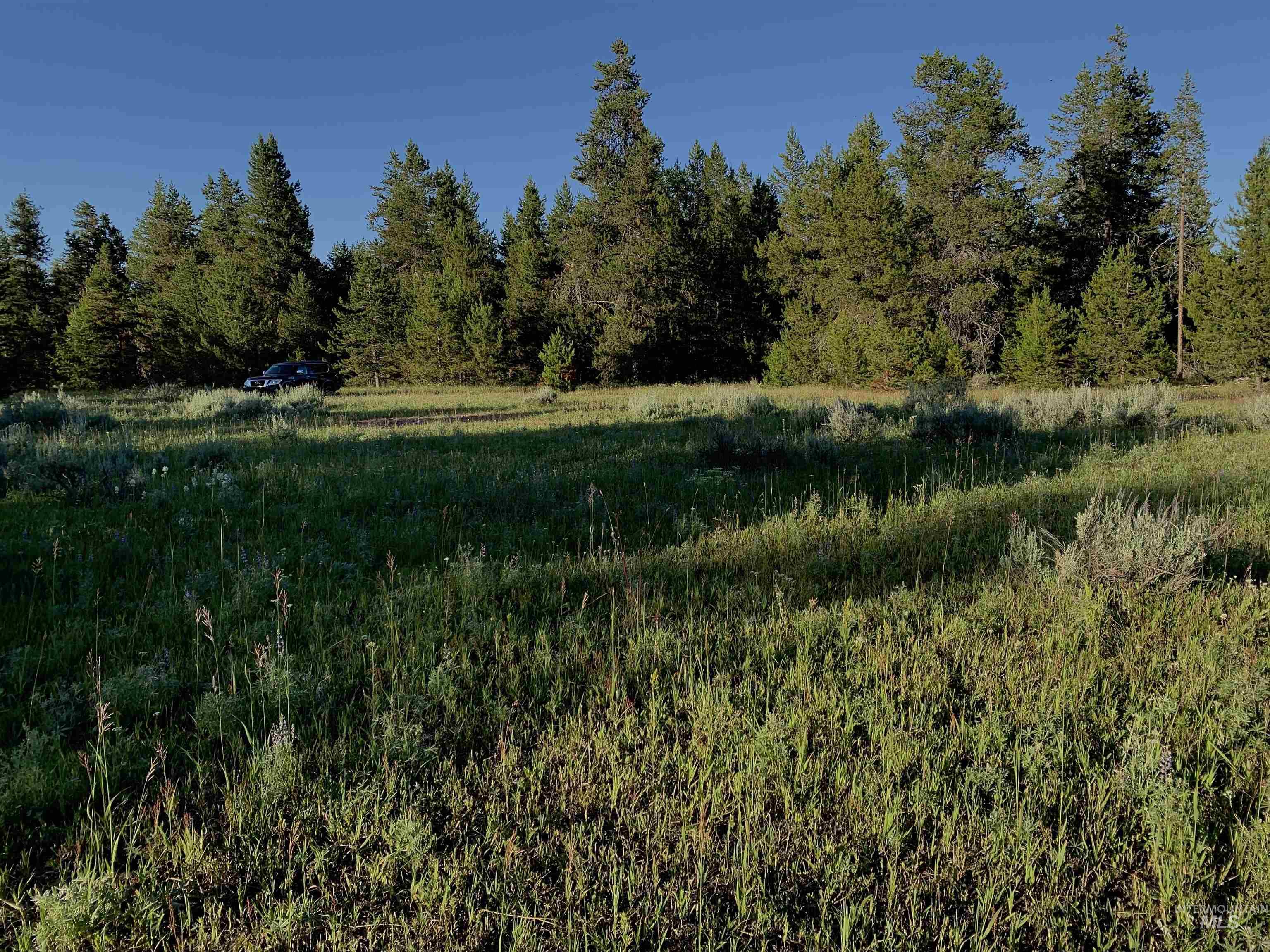 13321 Highway 55, McCall, Idaho 83638, Land For Sale, Price $699,999,MLS 98966578