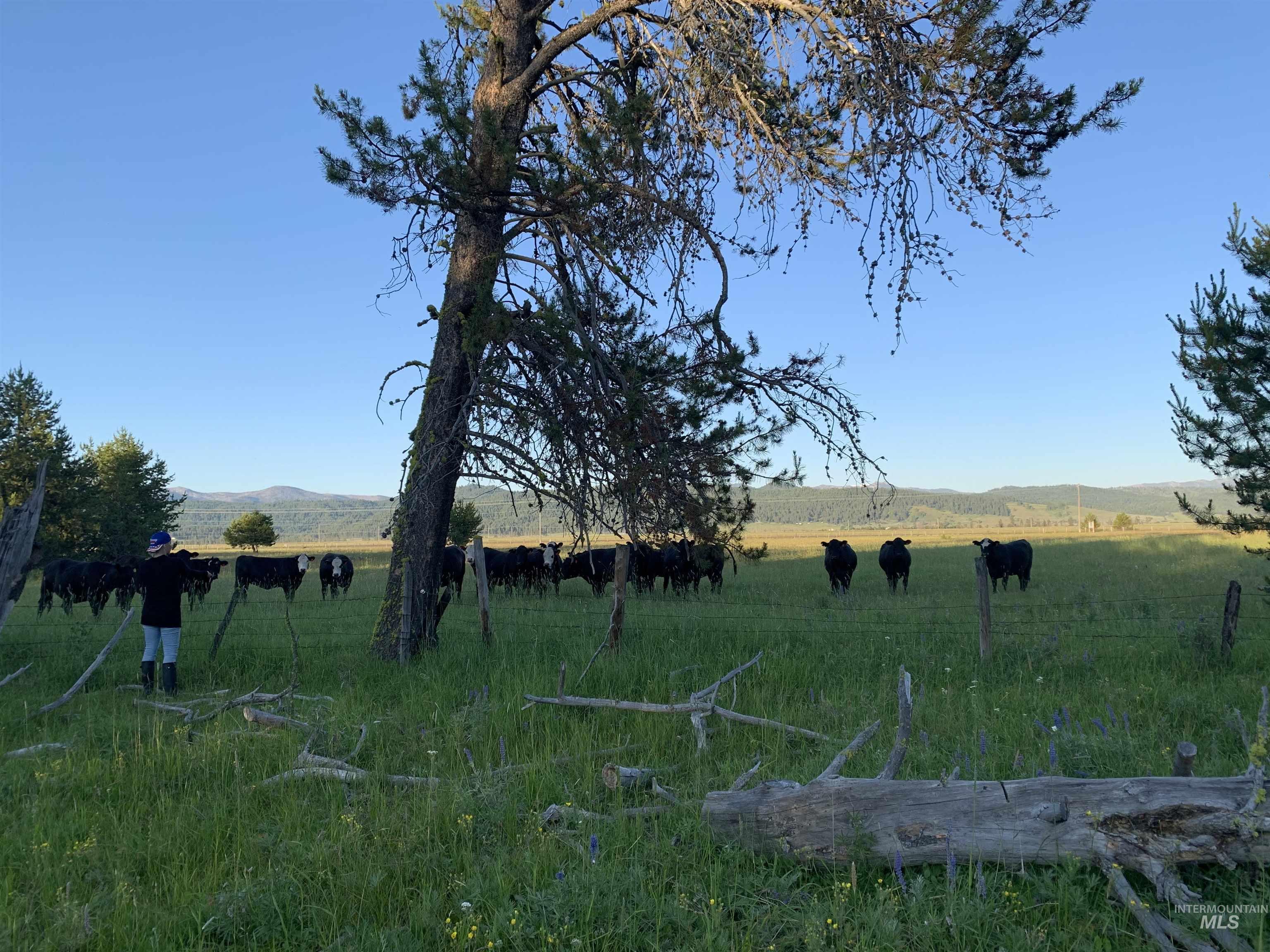 13321 Highway 55, McCall, Idaho 83638, Land For Sale, Price $699,999,MLS 98966578