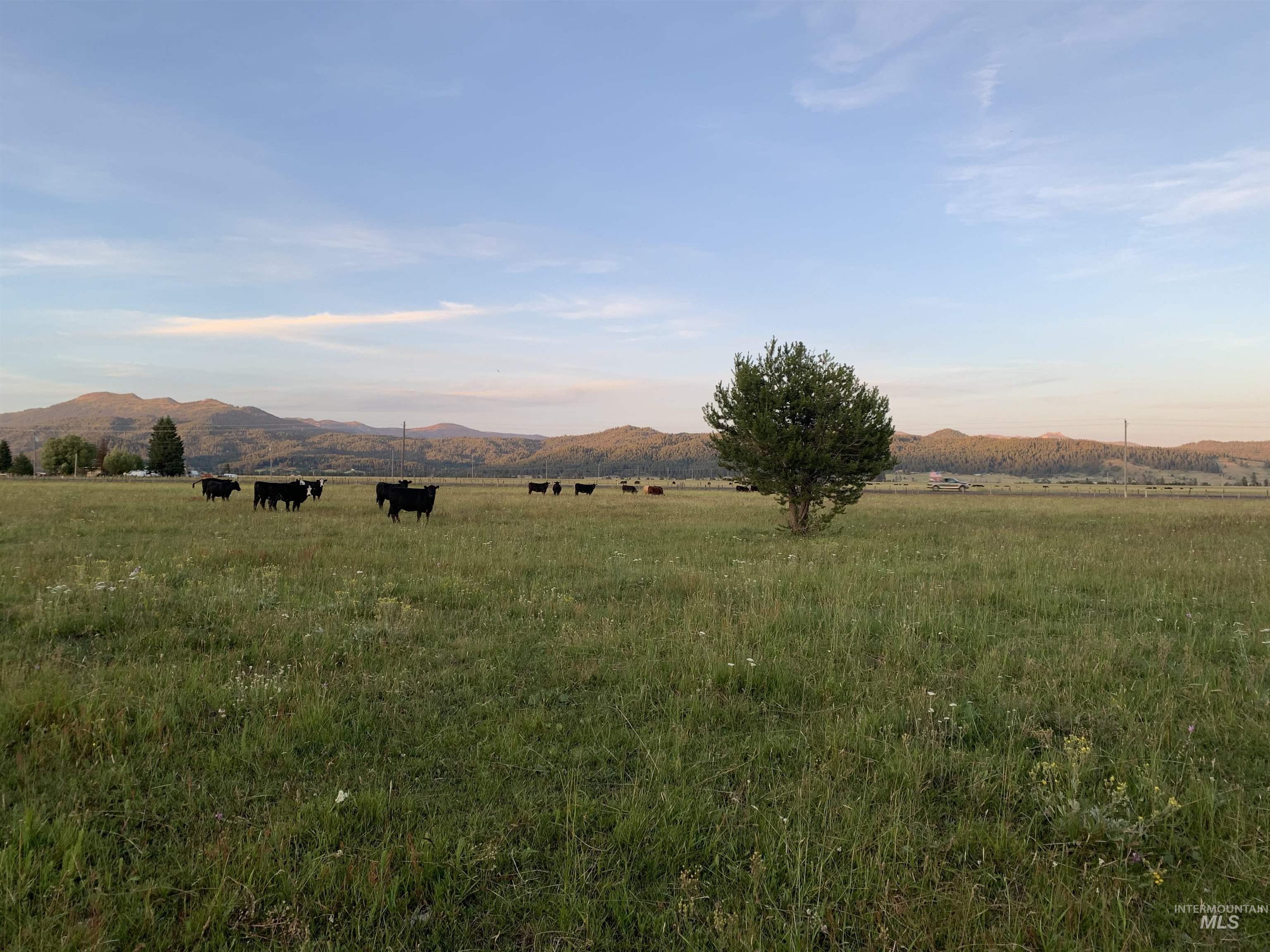 13321 Highway 55, McCall, Idaho 83638, Land For Sale, Price $699,999,MLS 98966578