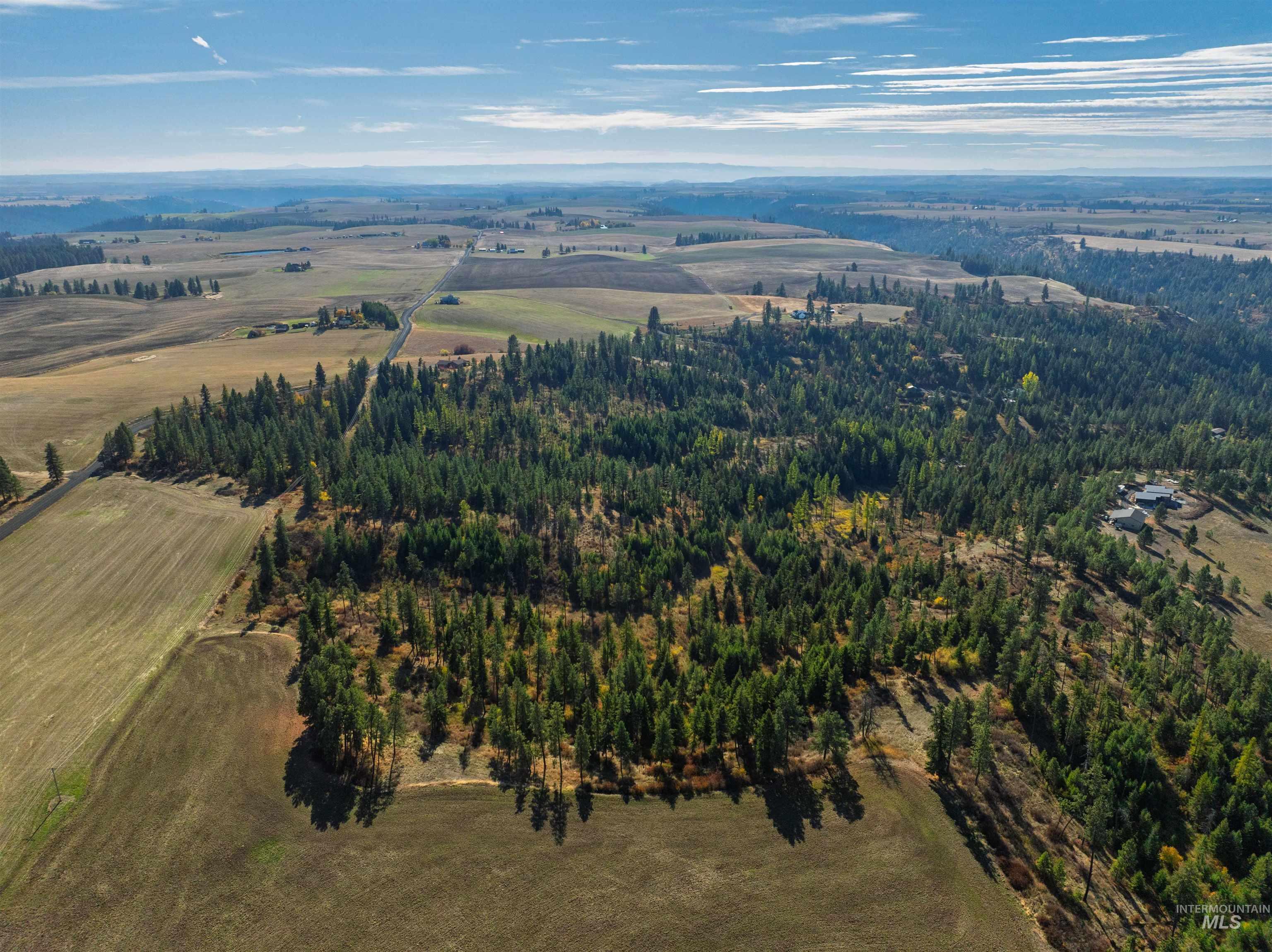 1703 Little Bear Ridge Rd, Troy, Idaho 83871, 3 Bedrooms, 2 Bathrooms, Residential For Sale, Price $875,000,MLS 98966645