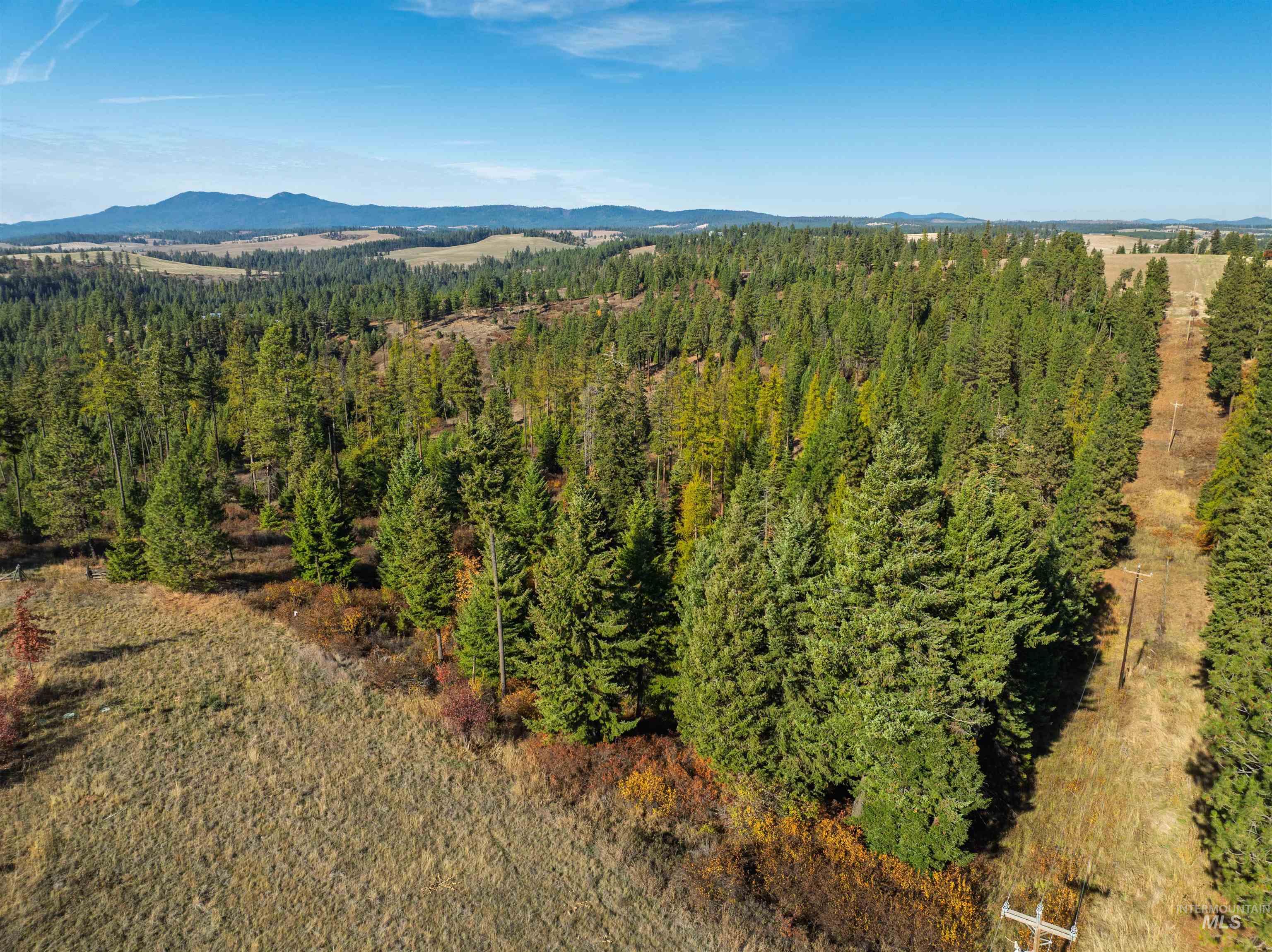 1703 Little Bear Ridge Rd, Troy, Idaho 83871, 3 Bedrooms, 2 Bathrooms, Residential For Sale, Price $875,000,MLS 98966645