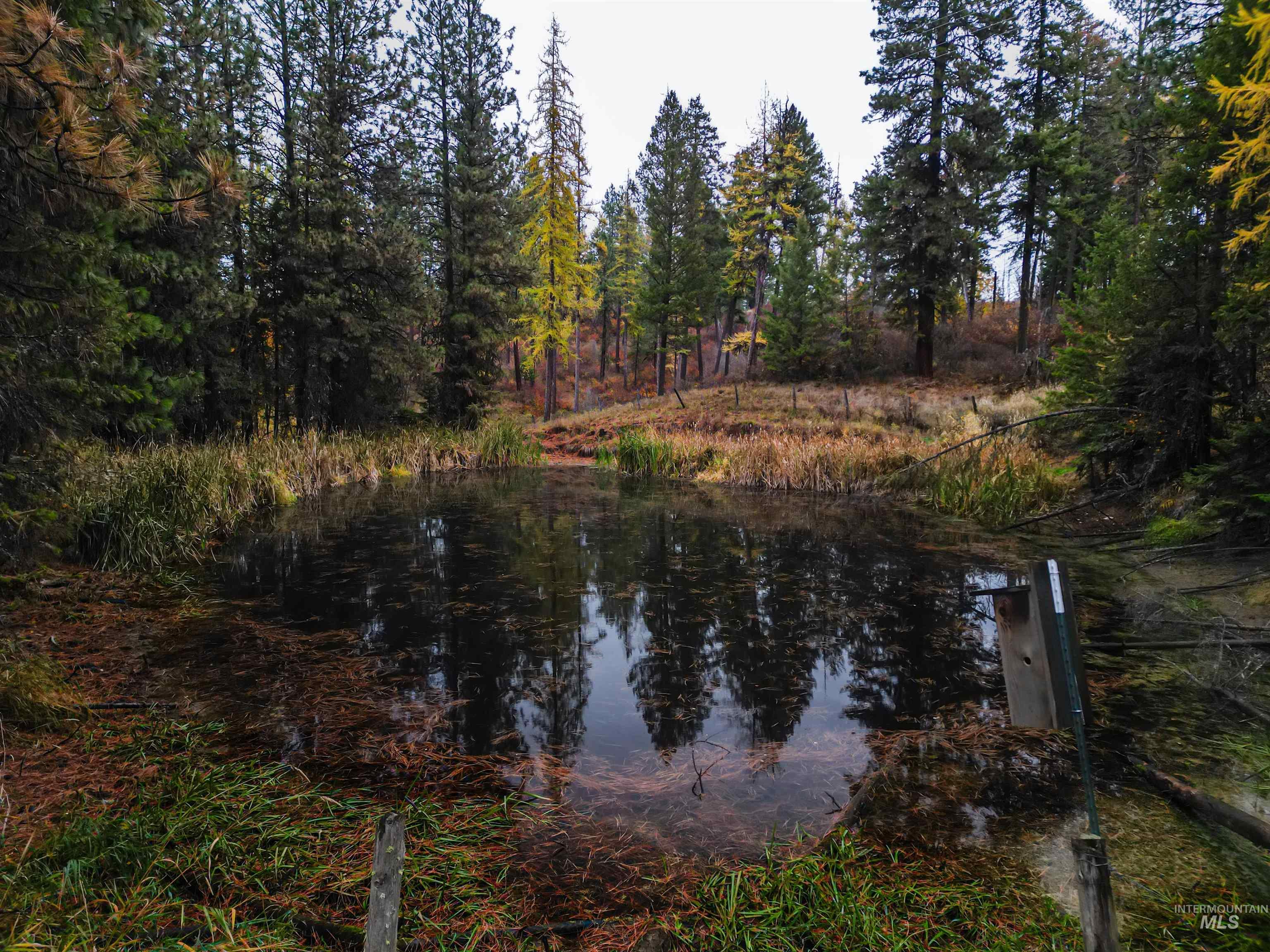 1703 Little Bear Ridge Rd, Troy, Idaho 83871, 3 Bedrooms, 2 Bathrooms, Residential For Sale, Price $875,000,MLS 98966645