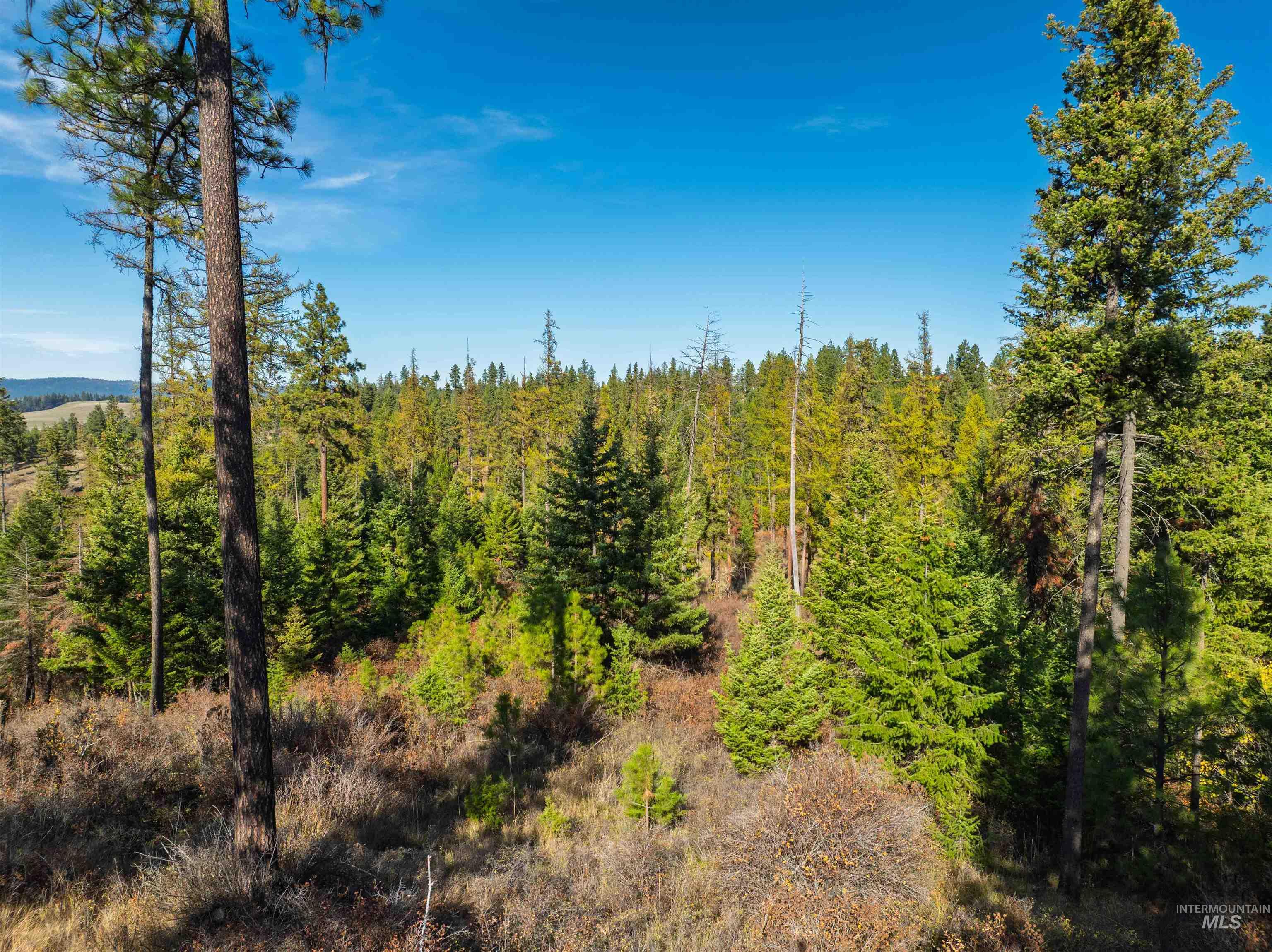 1703 Little Bear Ridge Rd, Troy, Idaho 83871, 3 Bedrooms, 2 Bathrooms, Residential For Sale, Price $875,000,MLS 98966645