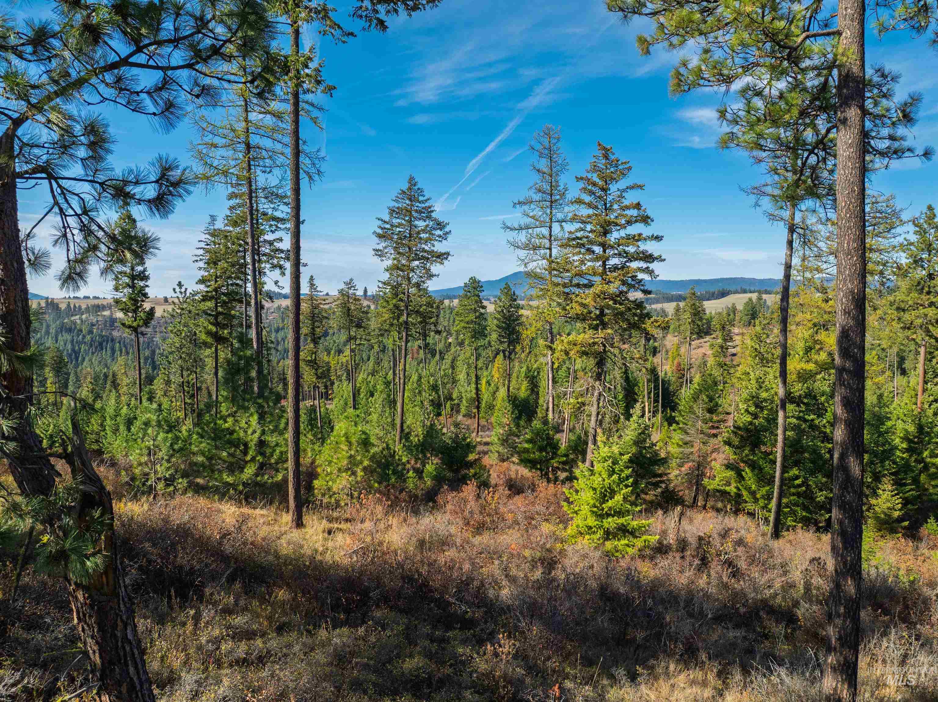 1703 Little Bear Ridge Rd, Troy, Idaho 83871, 3 Bedrooms, 2 Bathrooms, Residential For Sale, Price $875,000,MLS 98966645