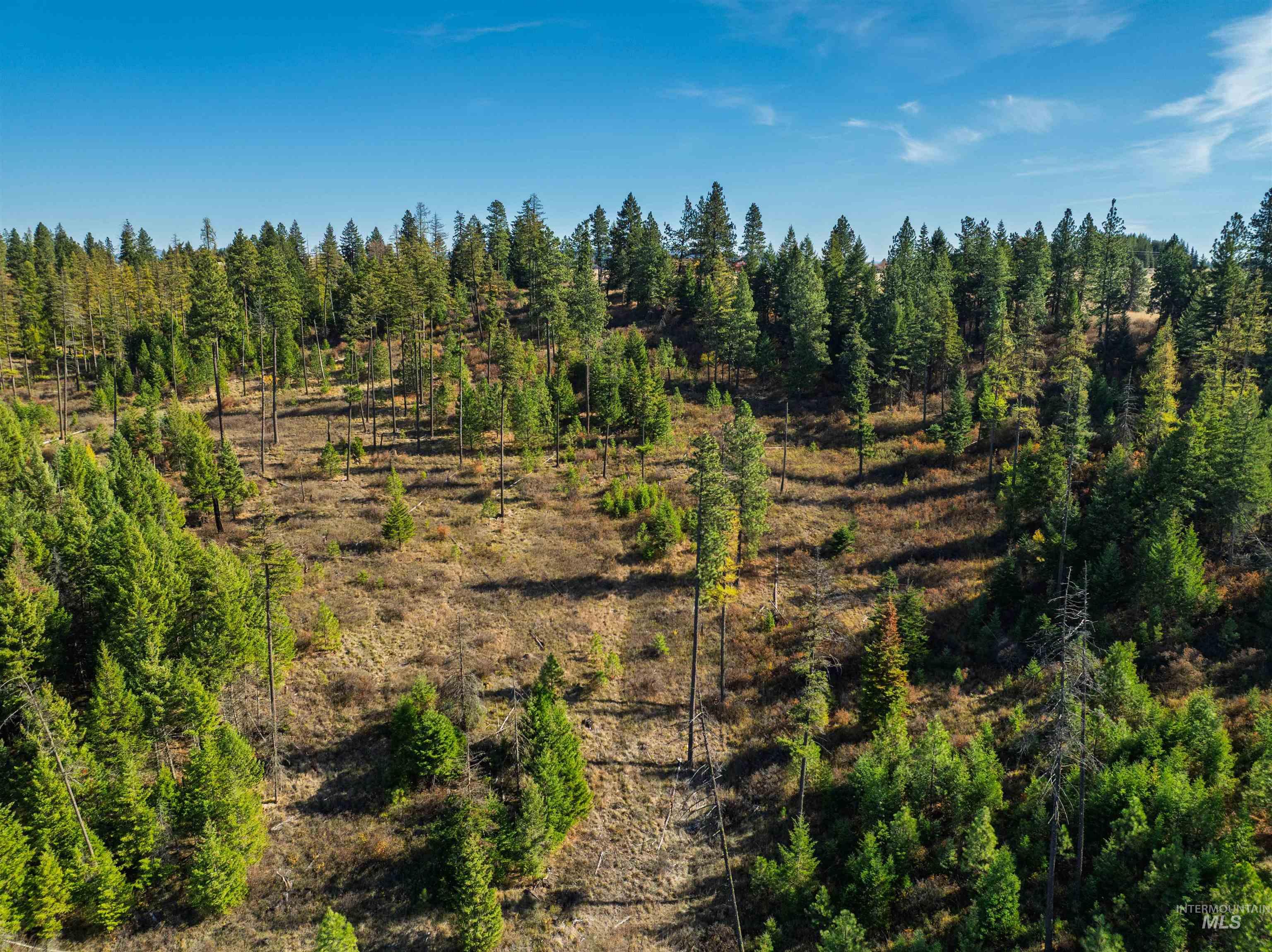 1703 Little Bear Ridge Rd, Troy, Idaho 83871, 3 Bedrooms, 2 Bathrooms, Residential For Sale, Price $875,000,MLS 98966645