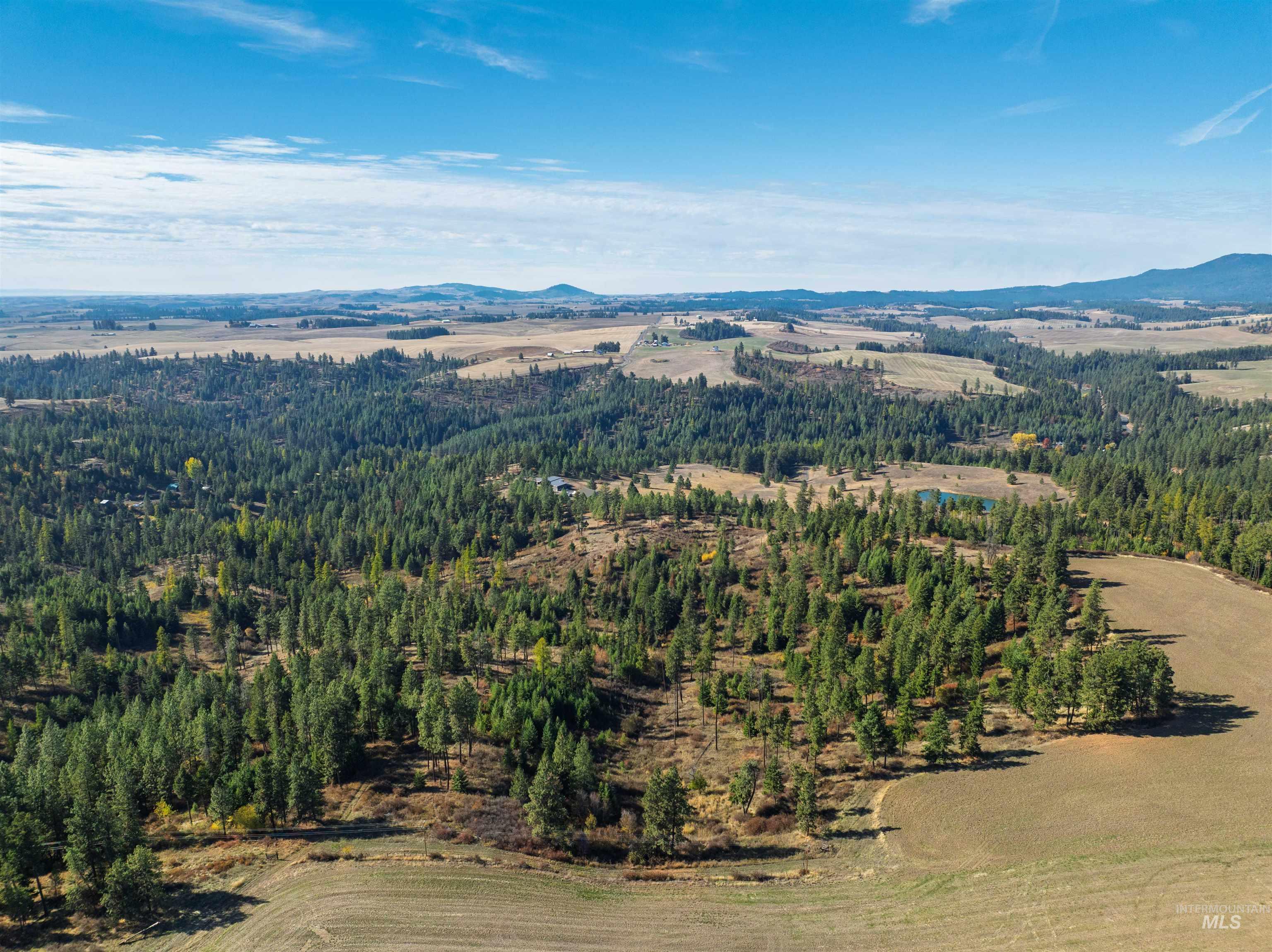 1703 Little Bear Ridge Rd, Troy, Idaho 83871, 3 Bedrooms, 2 Bathrooms, Residential For Sale, Price $875,000,MLS 98966645