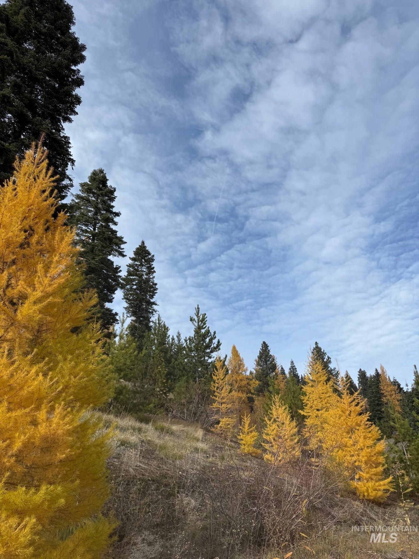 116 Golden Bar Court, Donnelly, Idaho 83615, Land For Sale, Price $775,000,MLS 98966665