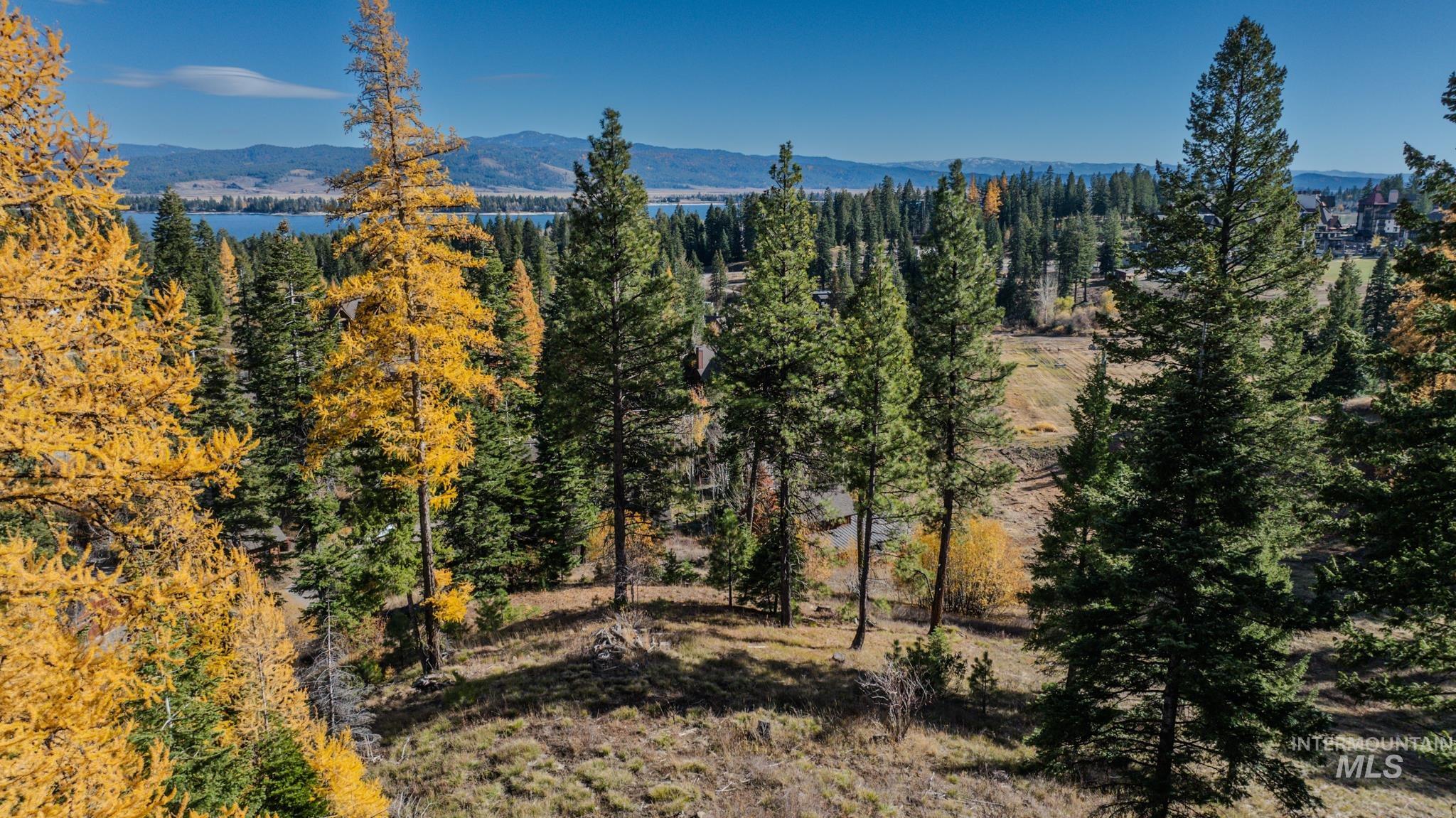 116 Golden Bar Court, Donnelly, Idaho 83615, Land For Sale, Price $775,000,MLS 98966665