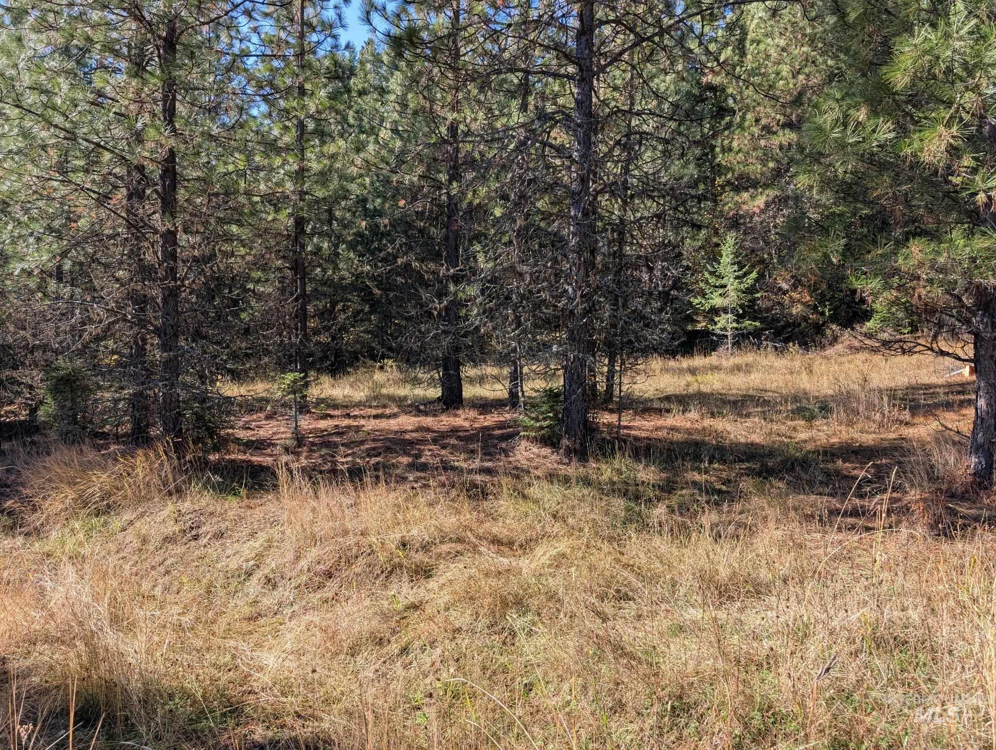 000 Bear Lane, Kooskia, Idaho 83539, Land For Sale, Price $259,000,MLS 98966731