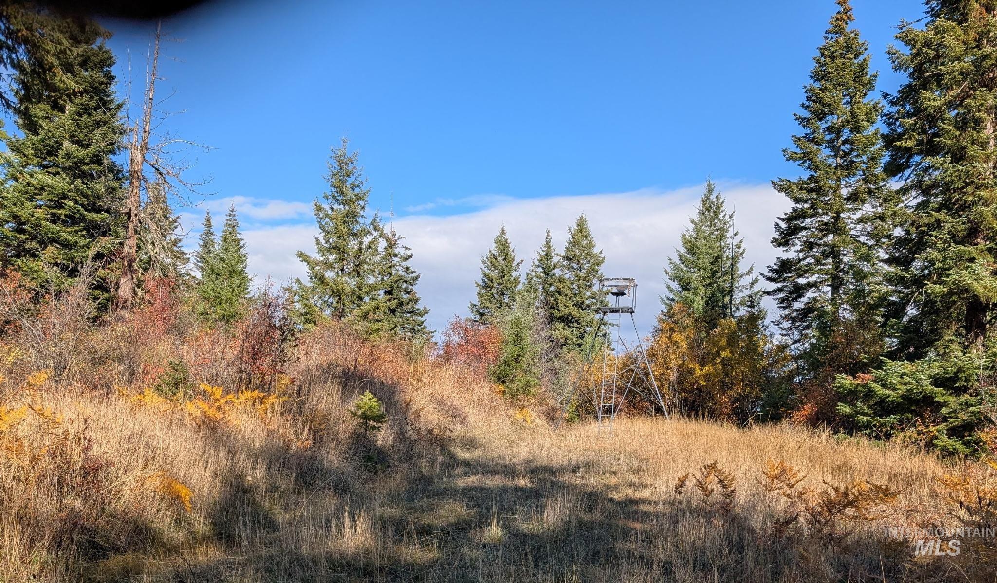 000 Bear Lane, Kooskia, Idaho 83539, Land For Sale, Price $259,000,MLS 98966731