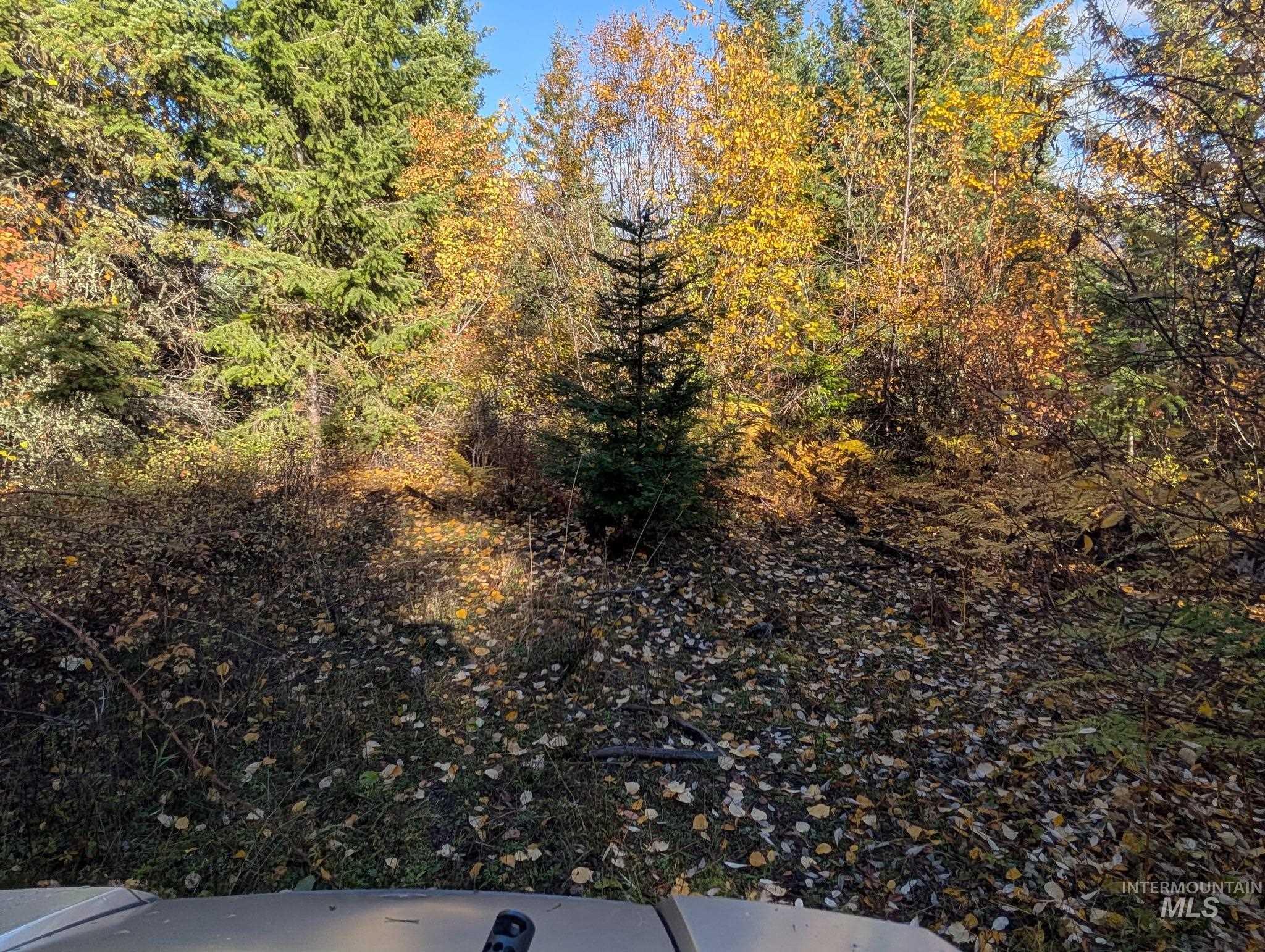 000 Bear Lane, Kooskia, Idaho 83539, Land For Sale, Price $259,000,MLS 98966731