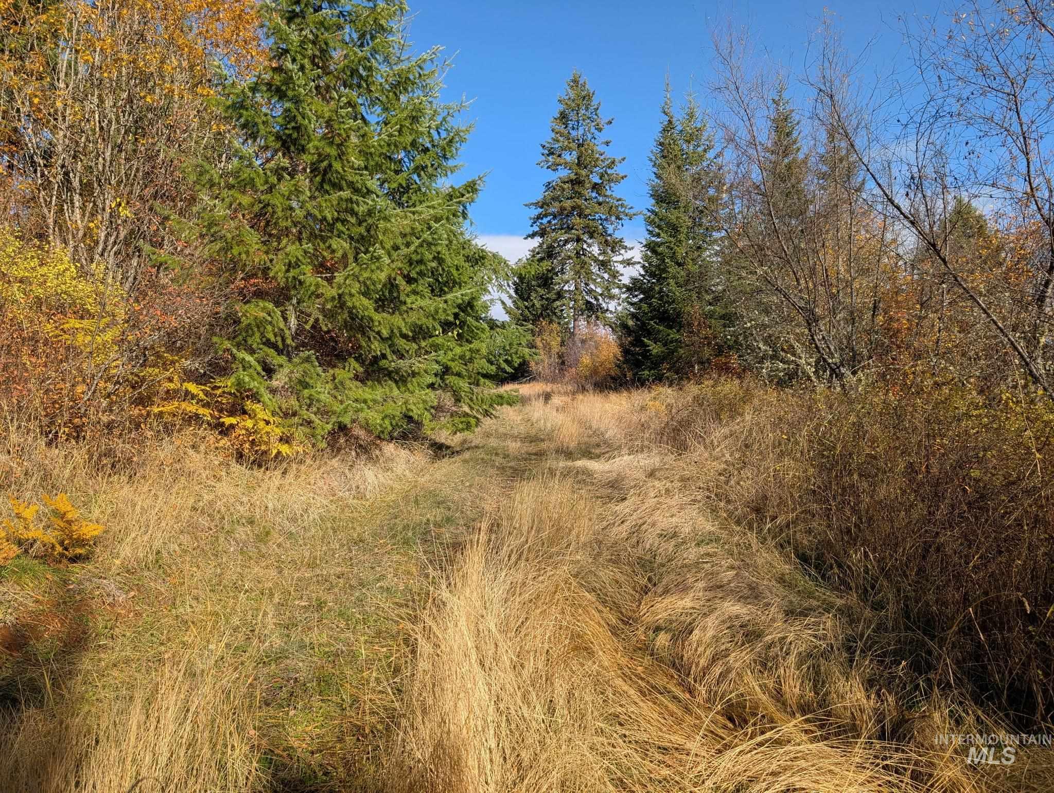 000 Bear Lane, Kooskia, Idaho 83539, Land For Sale, Price $259,000,MLS 98966731