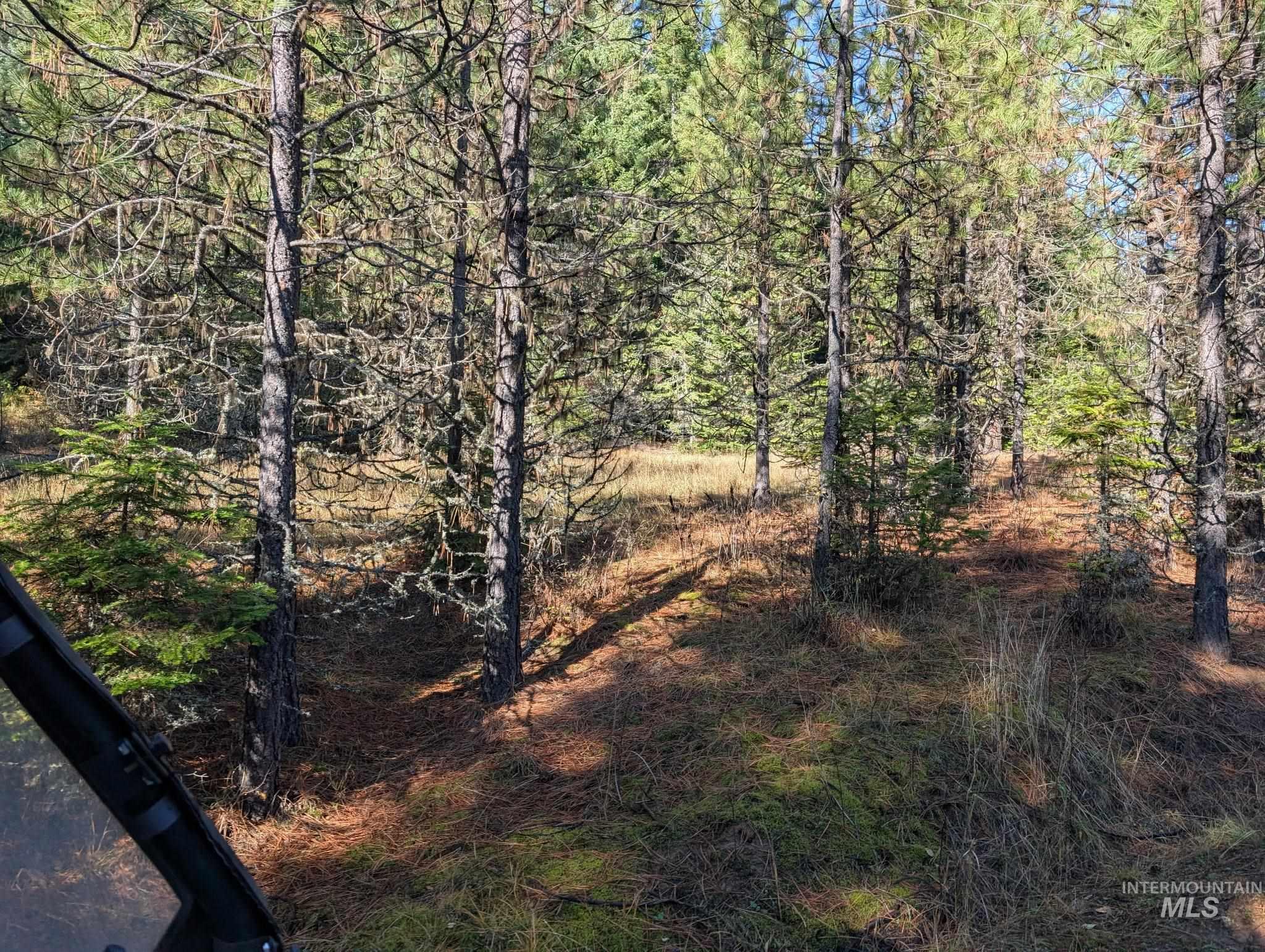 000 Bear Lane, Kooskia, Idaho 83539, Land For Sale, Price $259,000,MLS 98966731