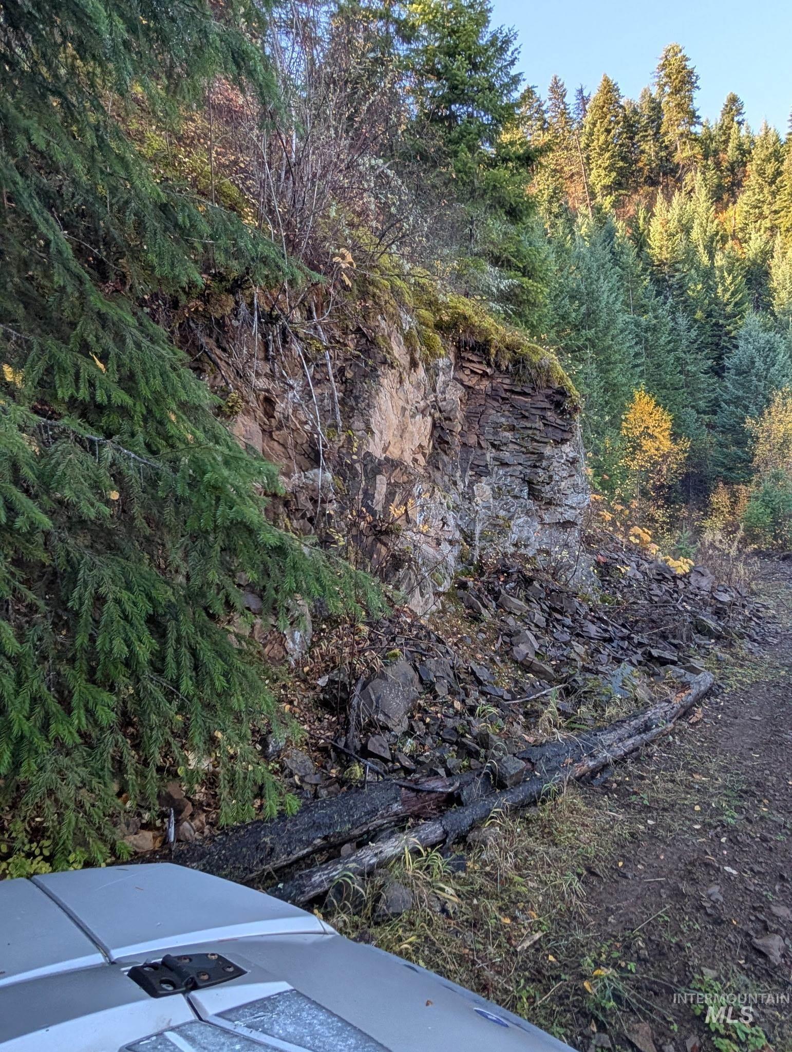 000 Bear Lane, Kooskia, Idaho 83539, Land For Sale, Price $259,000,MLS 98966731