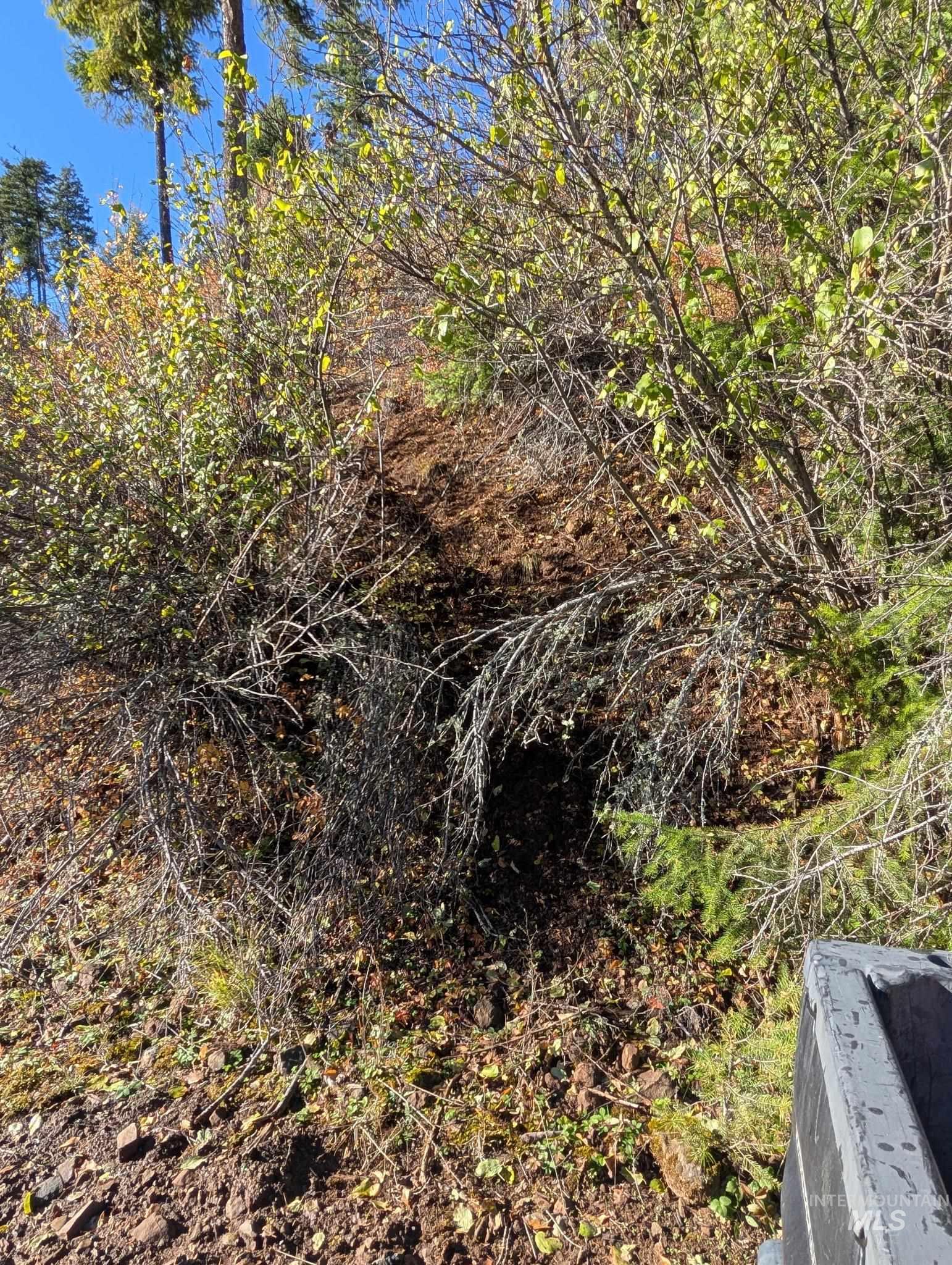 000 Bear Lane, Kooskia, Idaho 83539, Land For Sale, Price $259,000,MLS 98966731