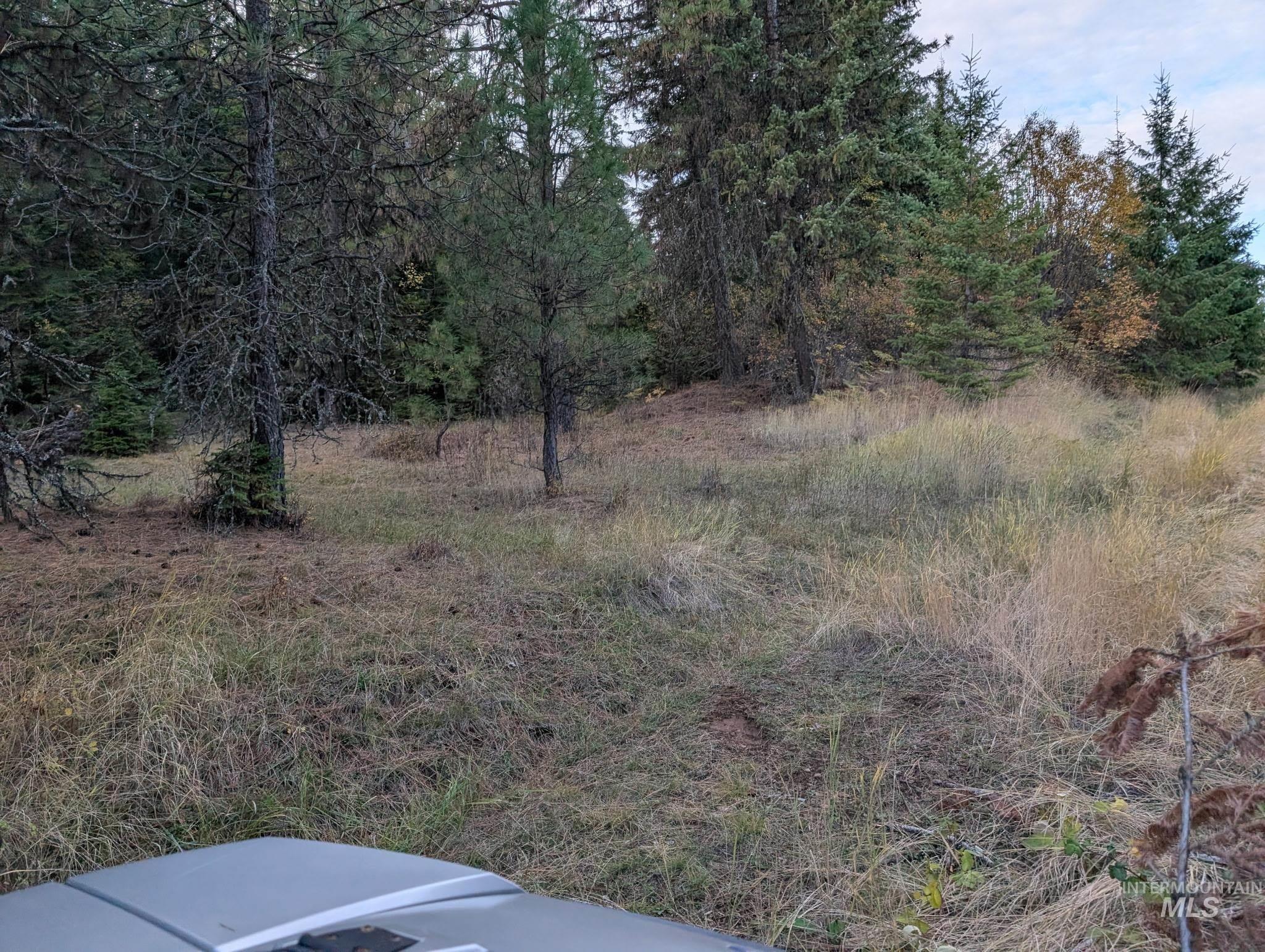 000 Bear Lane, Kooskia, Idaho 83539, Land For Sale, Price $259,000,MLS 98966731